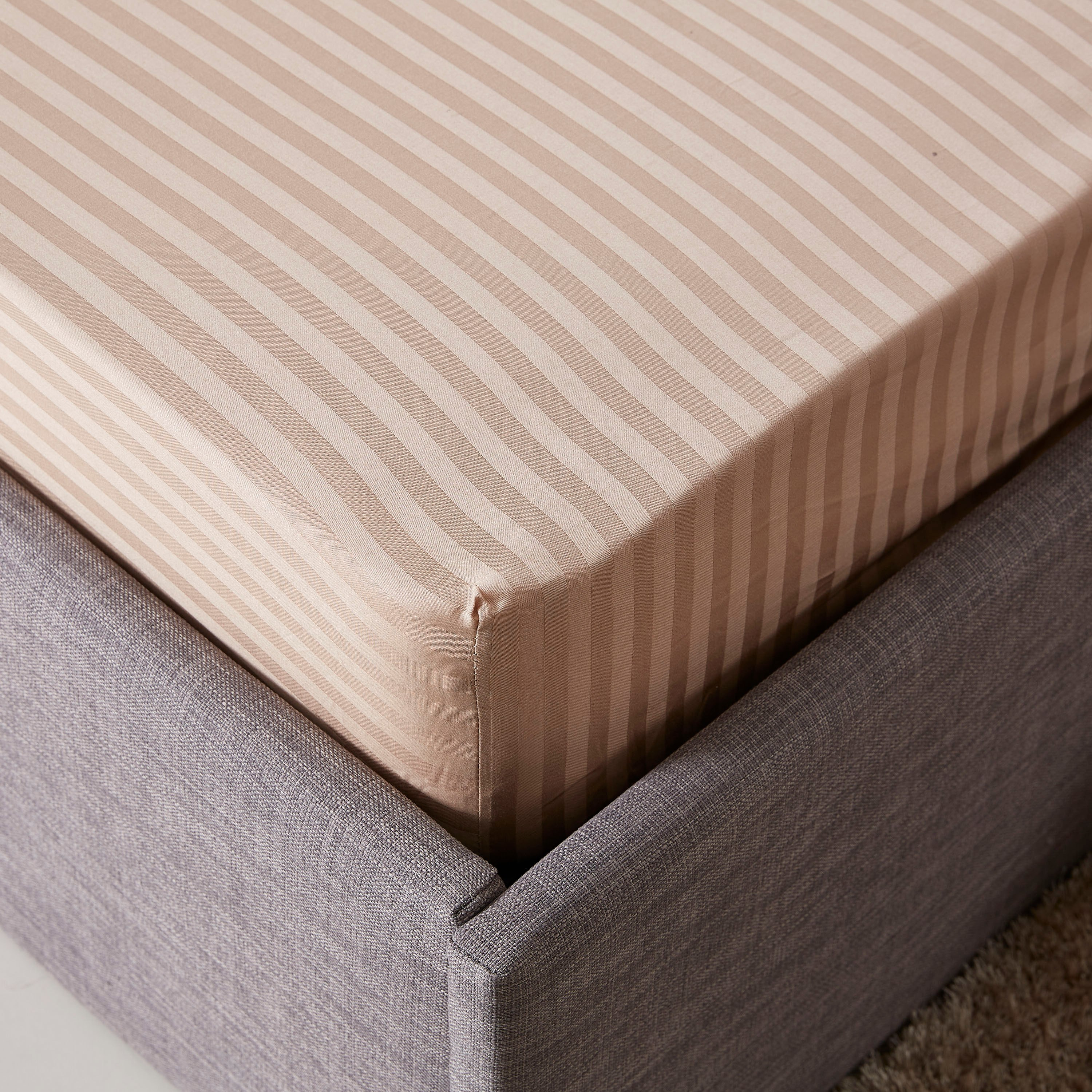 شرشف مطاطي كوين مخطط قطن وساتان من هاميلتون - 150×200 سم+25 سم-hbxhomeware-hbxbedroom-image-3