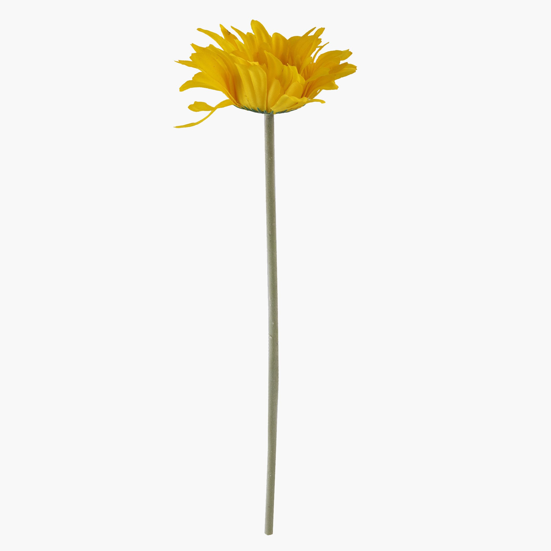 زهرة للزينة من صني-hbxdecorandfurnishings-homeaccessories-artificialflowersandplants-image-1