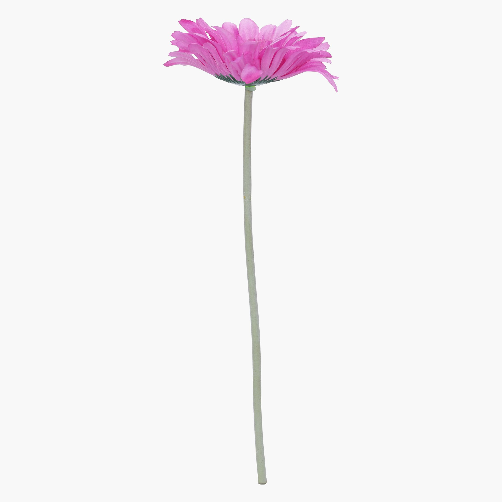 عصا زهرة مزين من صني-hbxdecorandfurnishings-homeaccessories-artificialflowersandplants-image-1