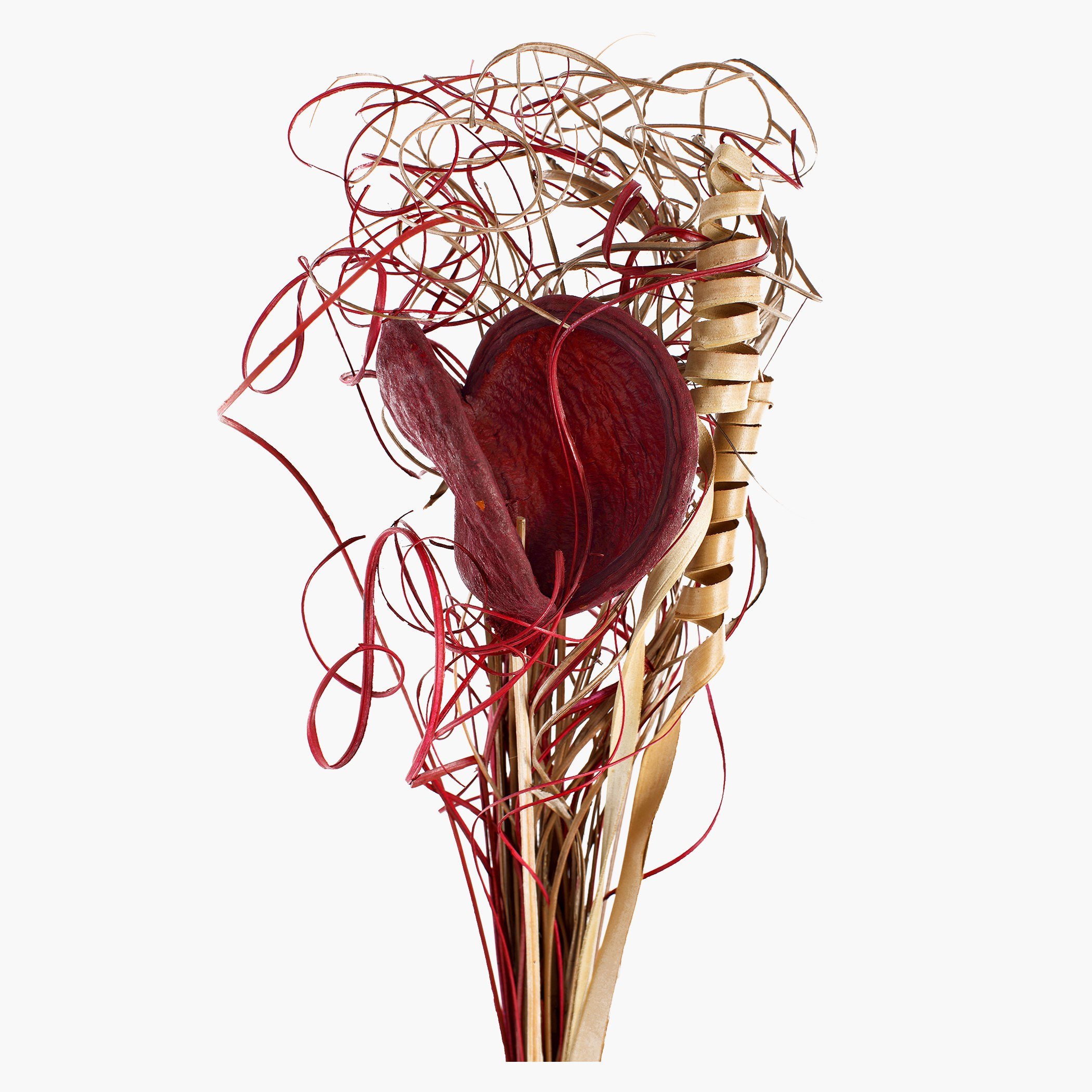 باقة من الأزهار المجفّفة من أسبين-hbxdecorandfurnishings-homeaccessories-artificialflowersandplants-image-2