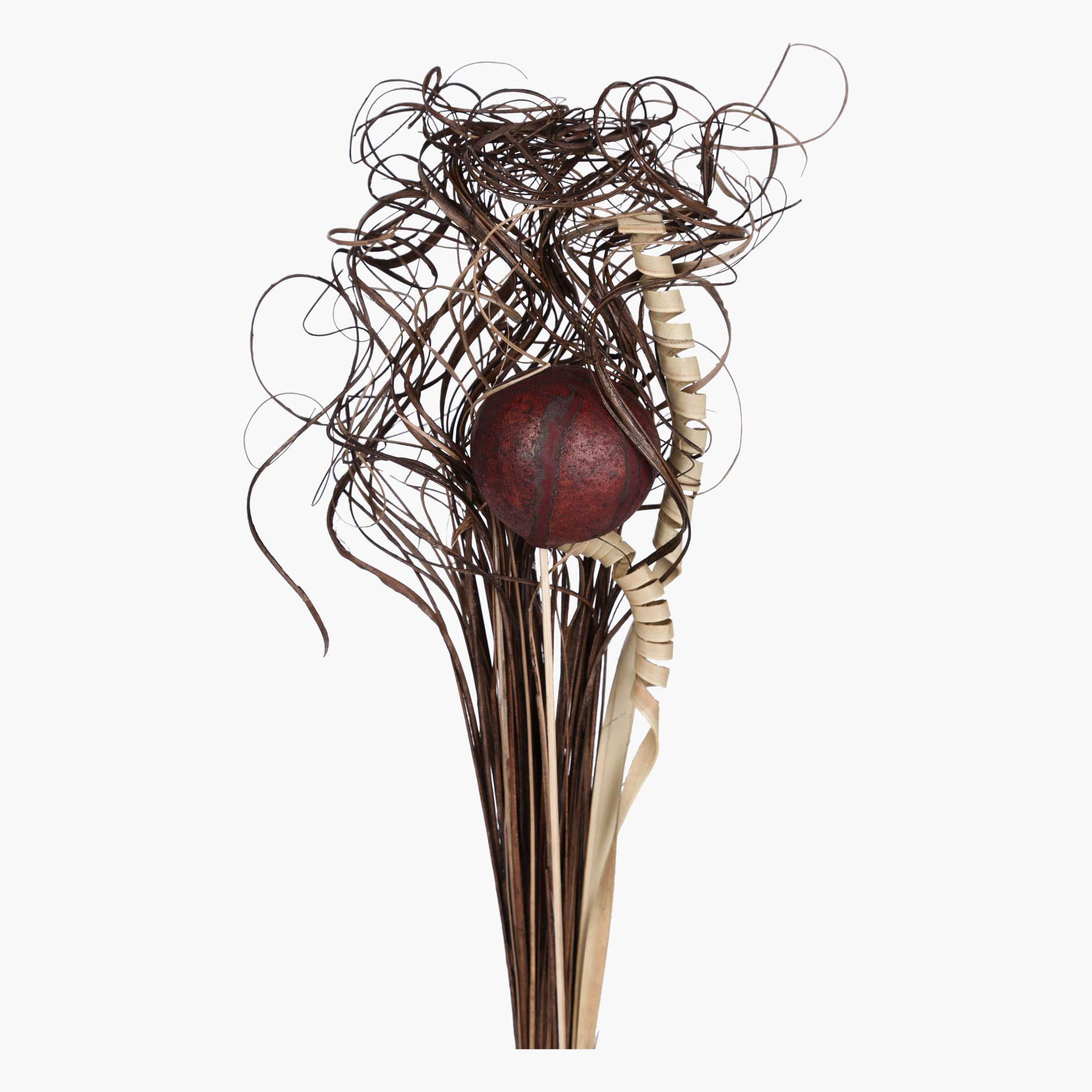 باقة سيقان أزهار مجففة من أسبين-hbxdecorandfurnishings-homeaccessories-artificialflowersandplants-image-2