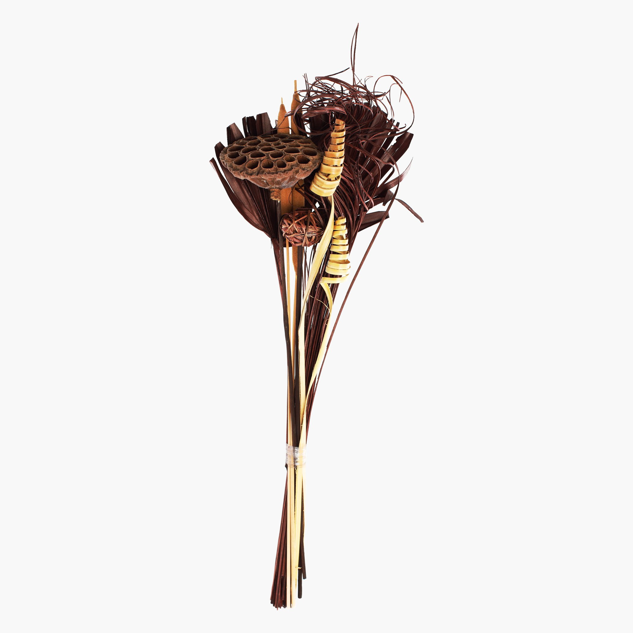 باقة أزهار مجفّفة من آريس-hbxdecorandfurnishings-homeaccessories-artificialflowersandplants-image-1