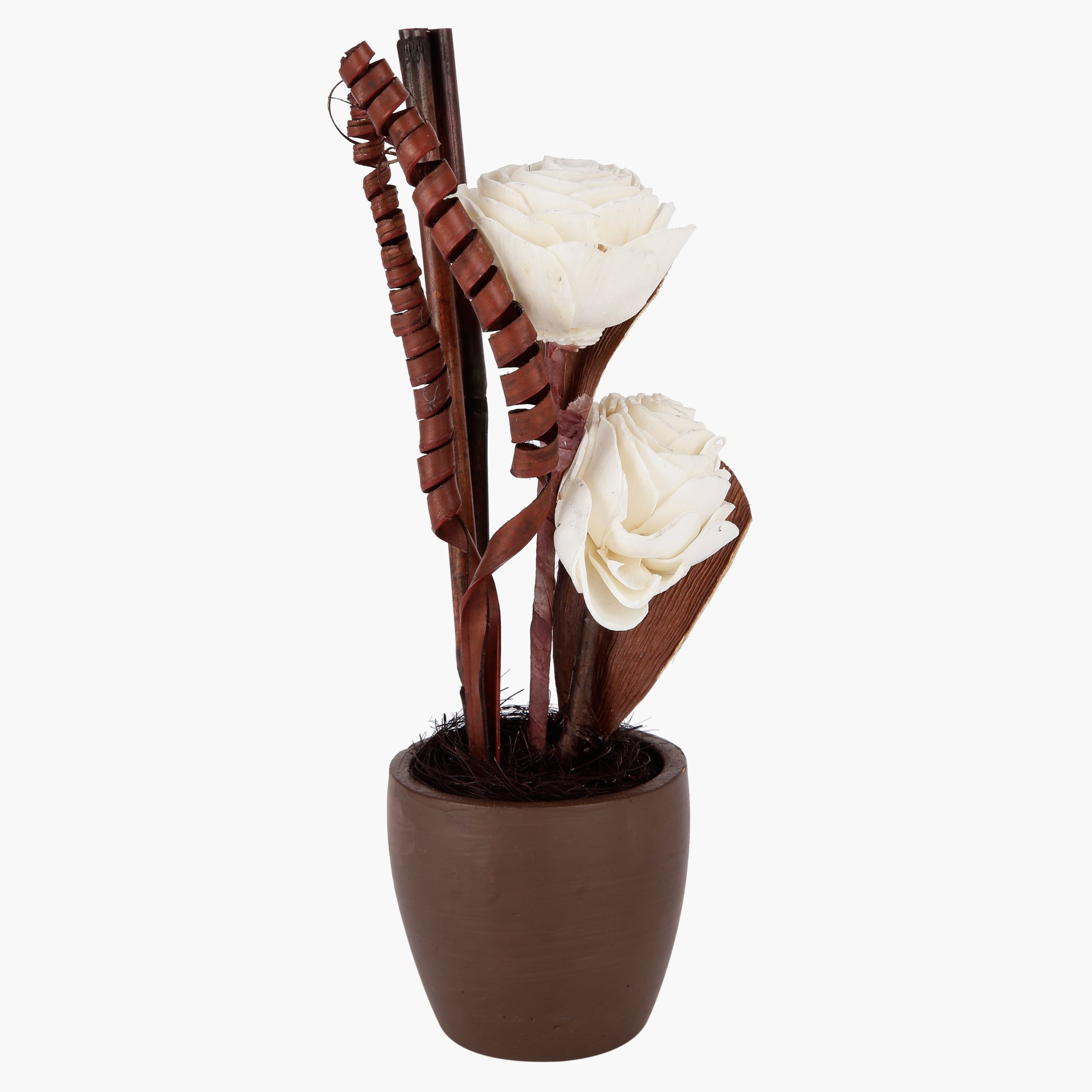 Decorative Plant Pot-hbxdecorandfurnishings-homeaccessories-artificialflowersandplants-image-2