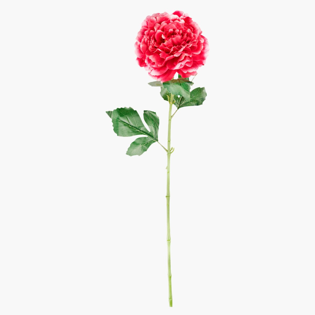 زهرة للزينة لورين - 70 سم-hbxdecorandfurnishings-homeaccessories-artificialflowersandplants-image-2