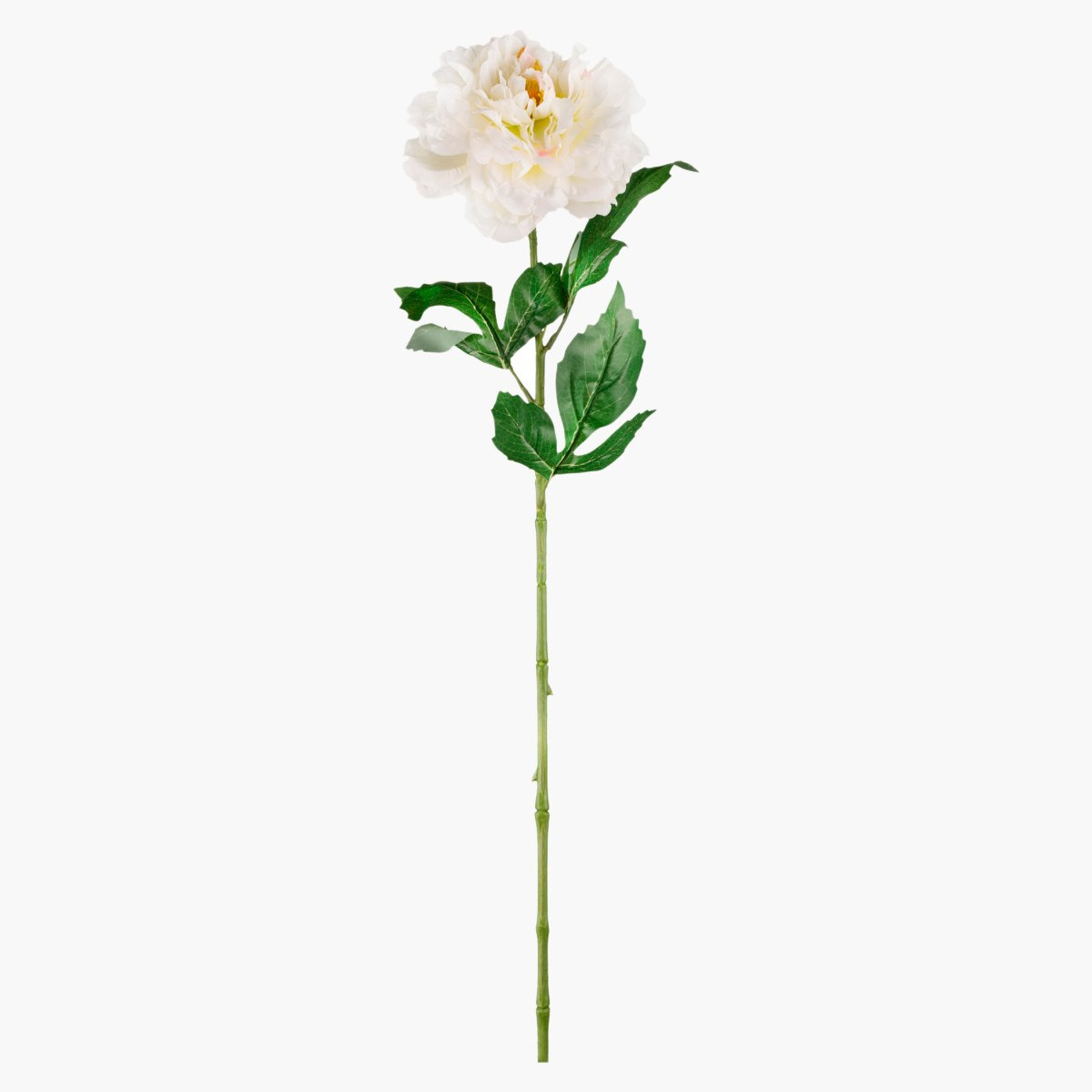 زهرة للزينة لورين - 70 سم-hbxdecorandfurnishings-homeaccessories-artificialflowersandplants-image-2
