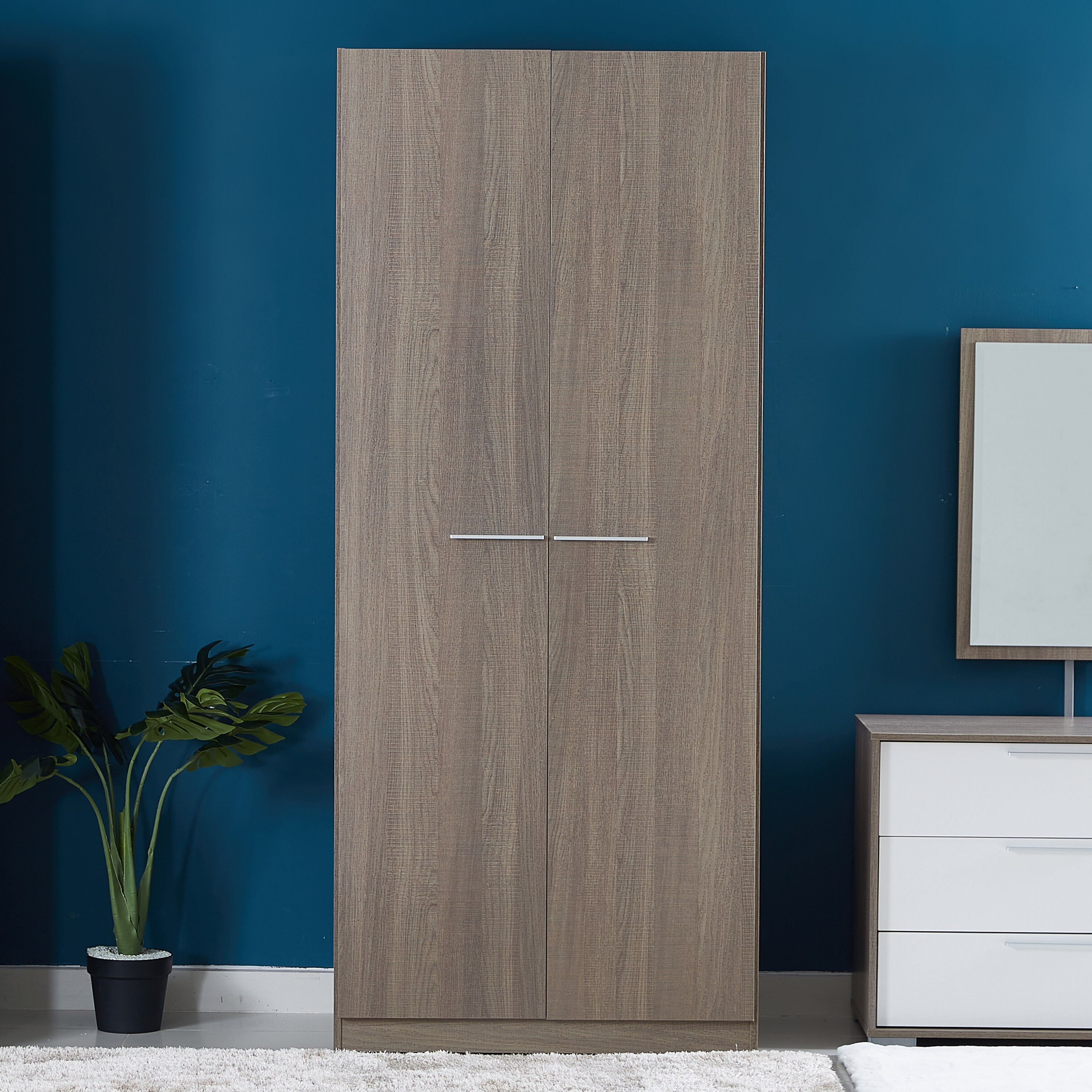 دولاب ببابين من كاثي-hbxfurniture-wardrobes-image-2