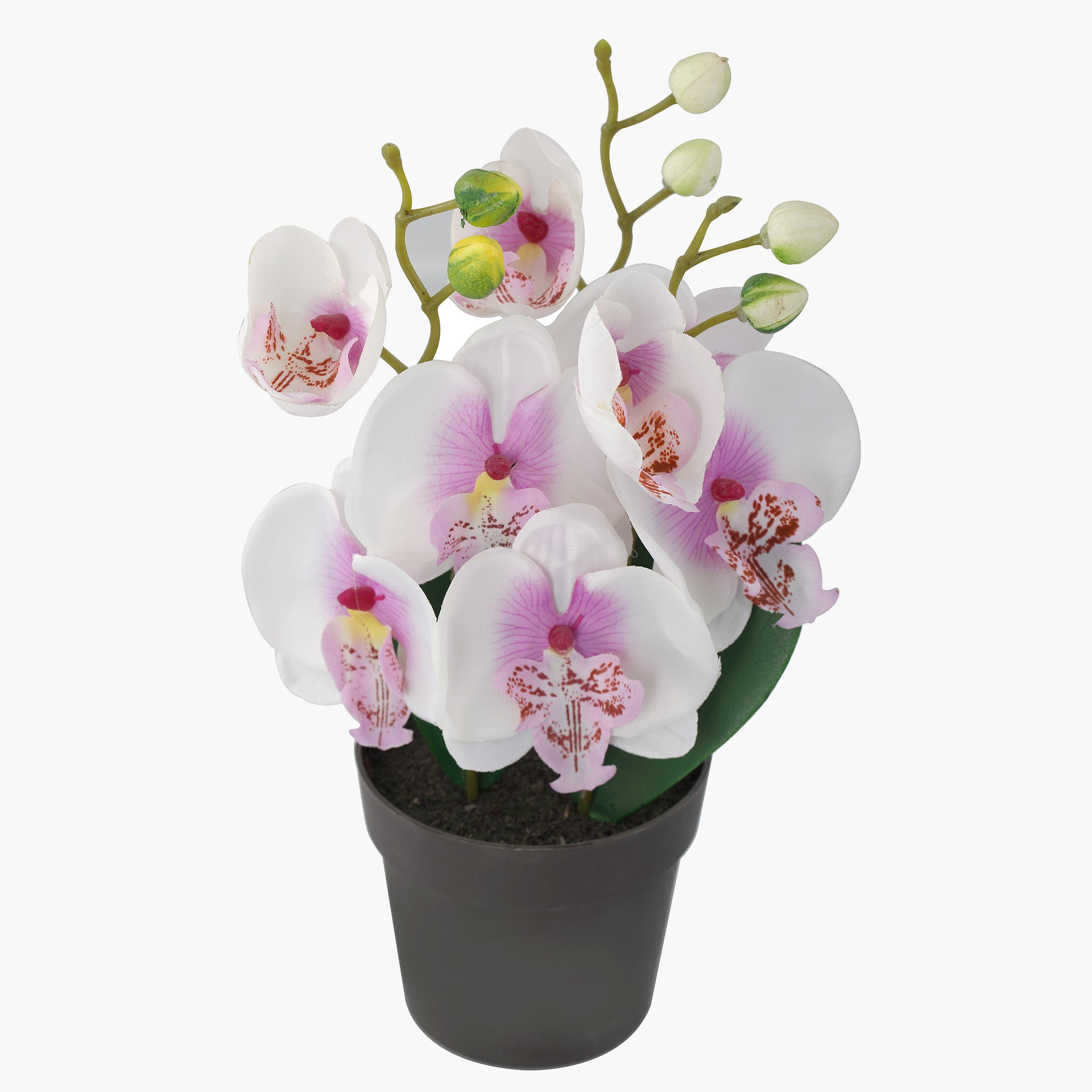 أزهار أوركيد للزينة مع إصيص من آيل-hbxdecorandfurnishings-homeaccessories-artificialflowersandplants-image-1