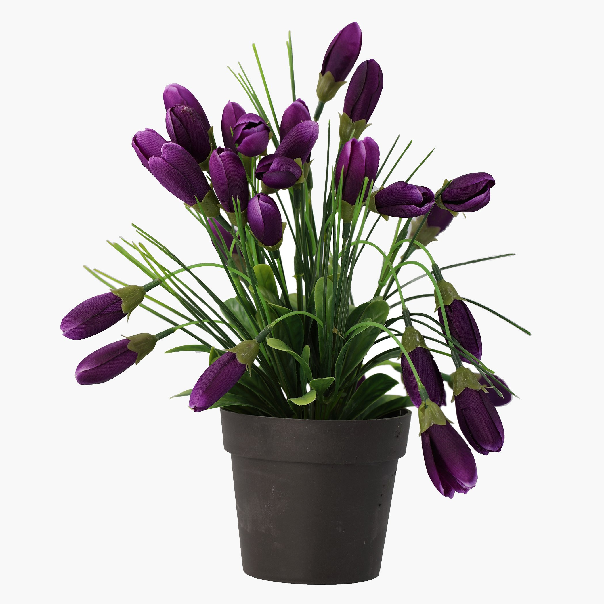 أزهار زينة مع إصيص من بيل-hbxdecorandfurnishings-homeaccessories-artificialflowersandplants-image-2