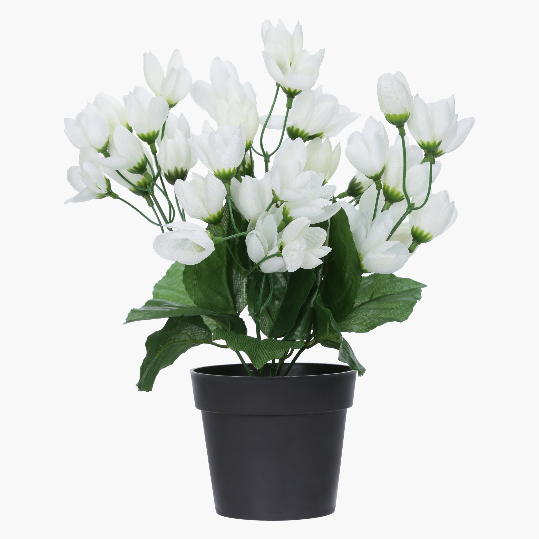 Fiona Decorative Flower Buds with Pot-hbxdecorandfurnishings-homeaccessories-artificialflowersandplants-image-1