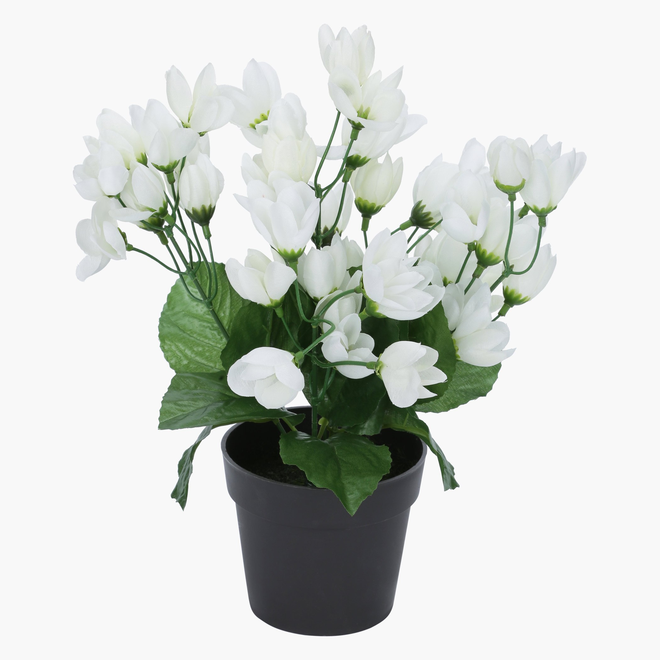Fiona Decorative Flower Buds with Pot-hbxdecorandfurnishings-homeaccessories-artificialflowersandplants-image-2