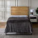 Lavish Twin Micro Flannel Blanket - 150x220 cm-Blankets-thumbnail-1