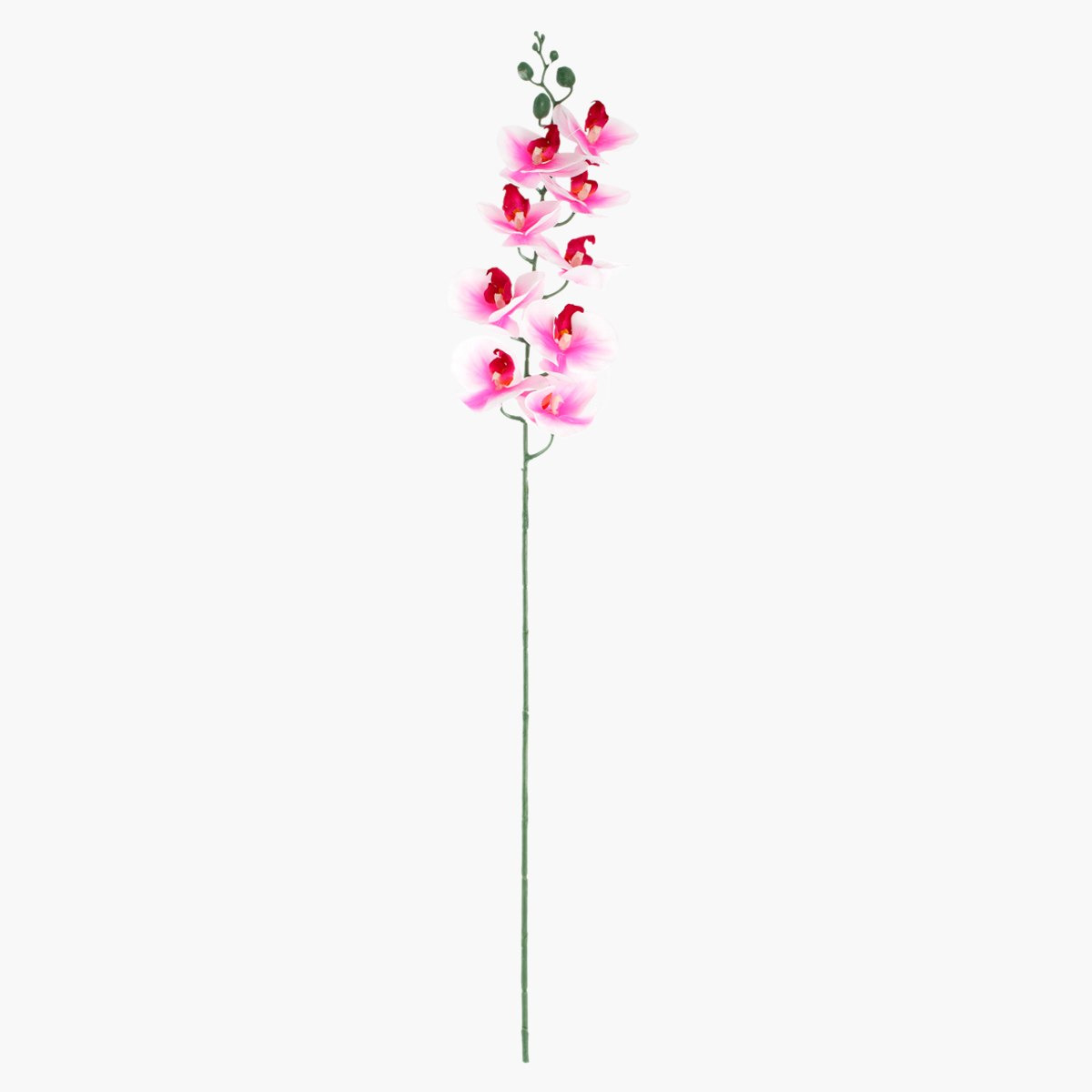 غصن أزهار أوركيد للزينة-hbxdecorandfurnishings-homeaccessories-artificialflowersandplants-image-2