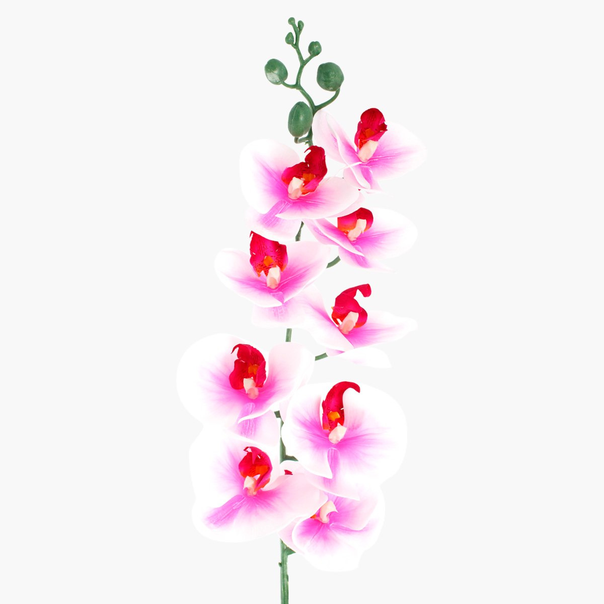 غصن أزهار أوركيد للزينة-hbxdecorandfurnishings-homeaccessories-artificialflowersandplants-image-3