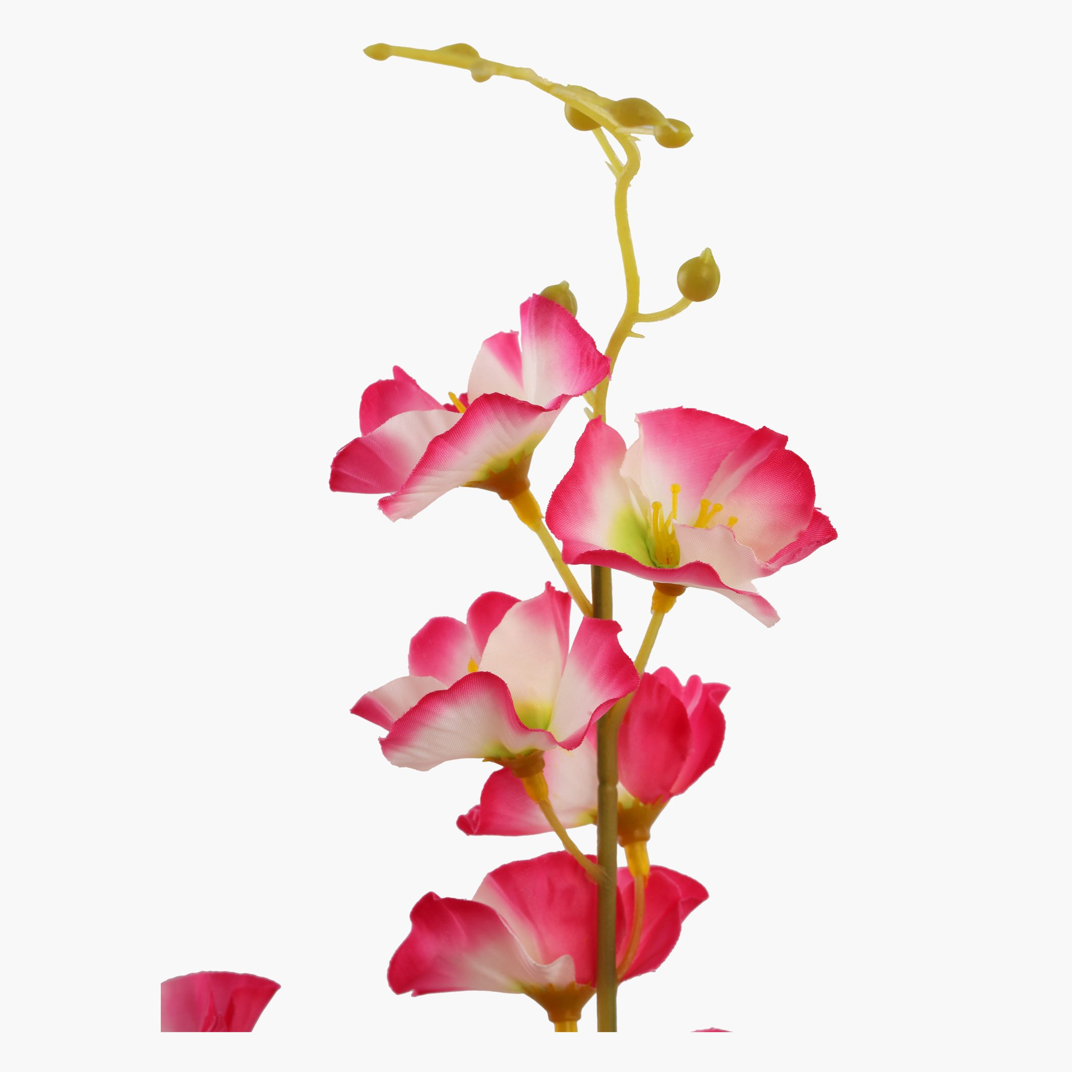 وعاء زينة مع ورود من كاميلا-hbxdecorandfurnishings-homeaccessories-artificialflowersandplants-image-3