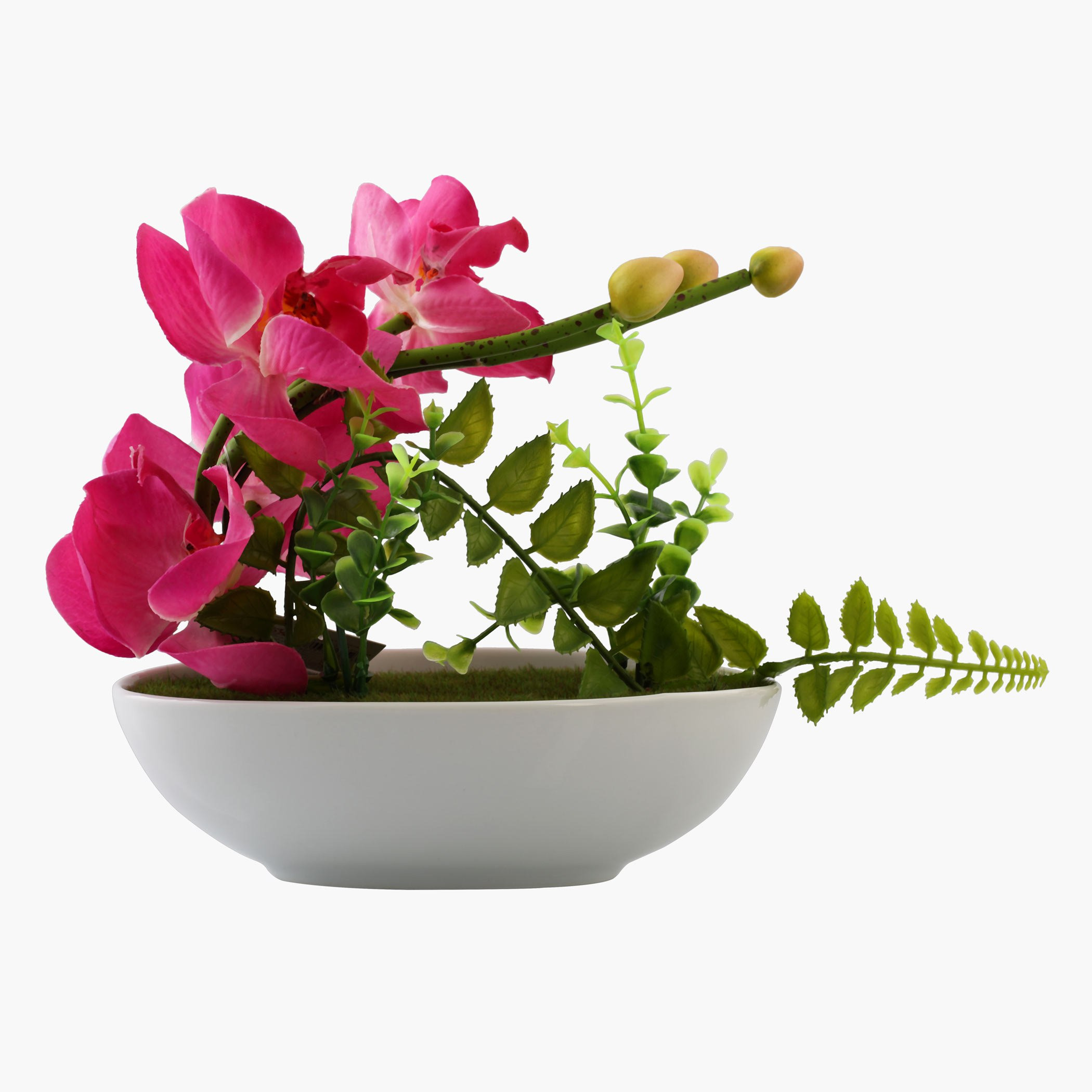 مزهرية للزينة مع أزهار الأوركيد من برناط-hbxdecorandfurnishings-homeaccessories-artificialflowersandplants-image-1