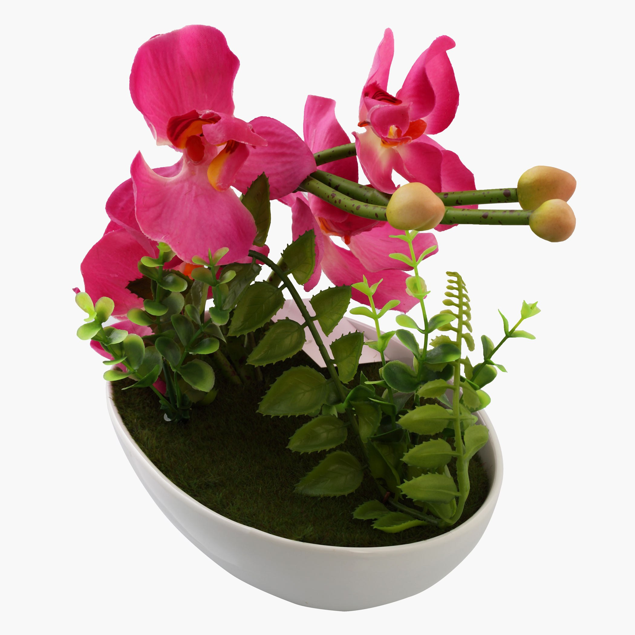 مزهرية للزينة مع أزهار الأوركيد من برناط-hbxdecorandfurnishings-homeaccessories-artificialflowersandplants-image-2