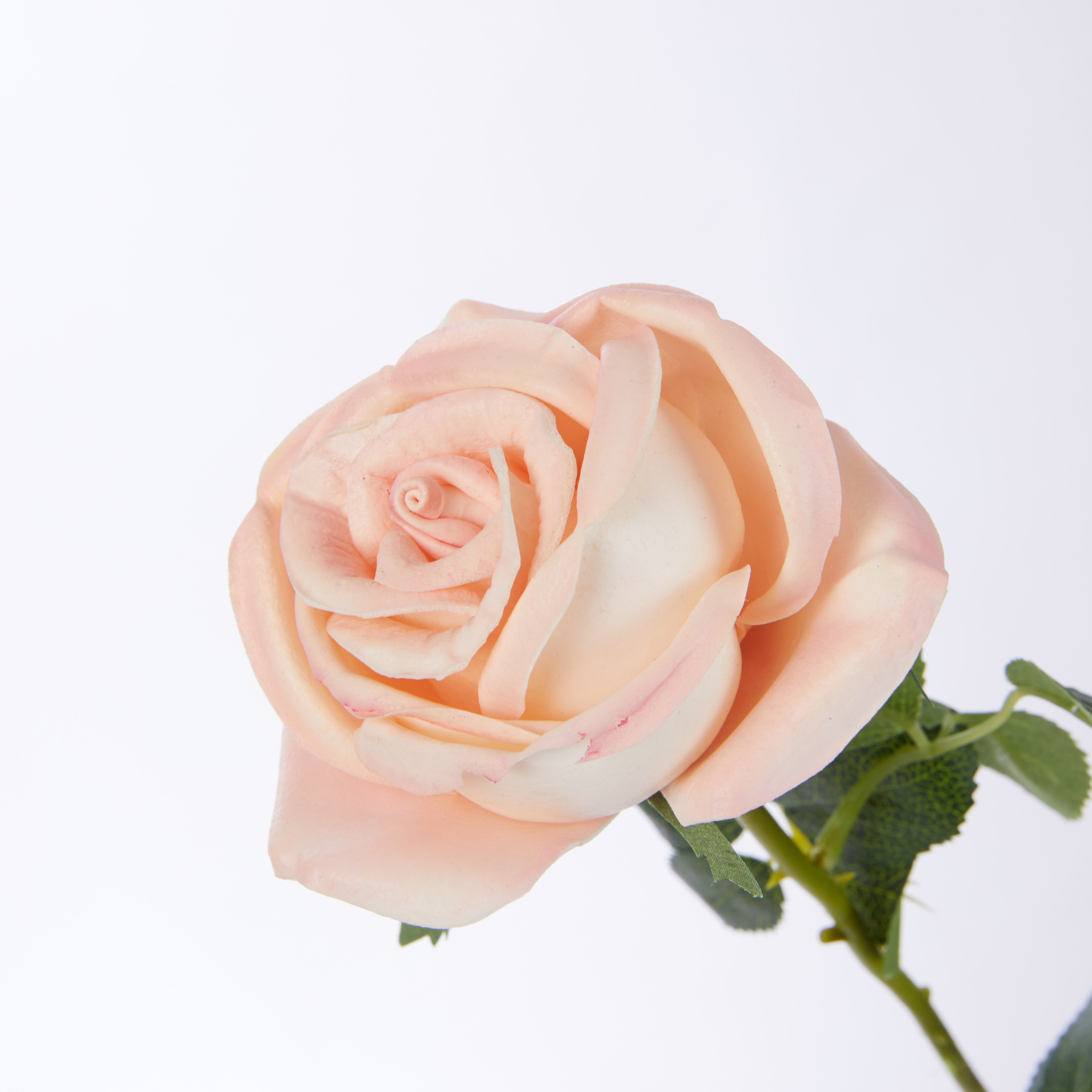 غصن أزهار مزخرف بأوراق-hbxdecorandfurnishings-homeaccessories-artificialflowersandplants-image-2