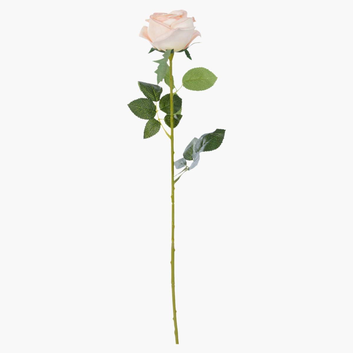 غصن أزهار مزخرف بأوراق-hbxdecorandfurnishings-homeaccessories-artificialflowersandplants-image-3