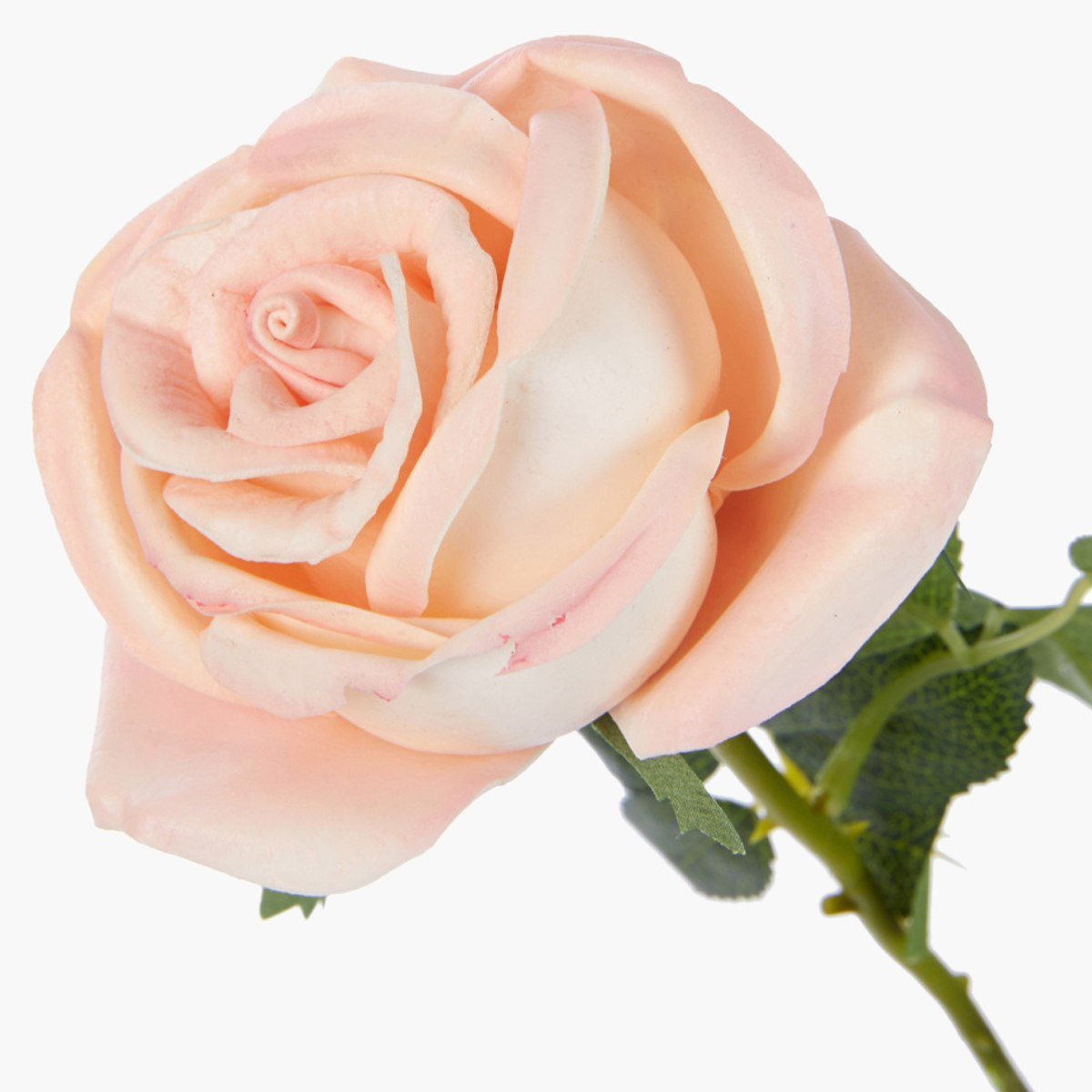 غصن أزهار مزخرف بأوراق-hbxdecorandfurnishings-homeaccessories-artificialflowersandplants-image-4