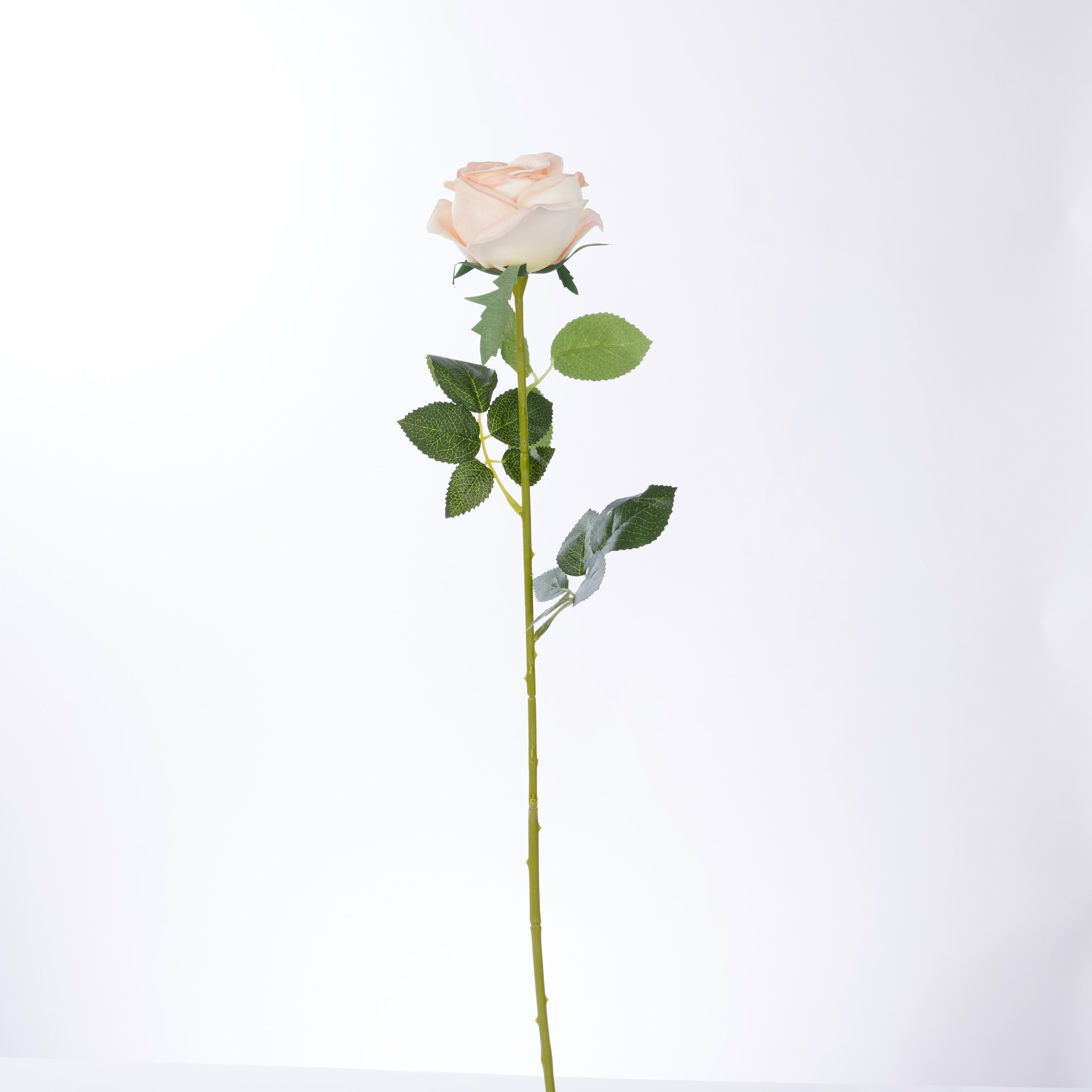 غصن أزهار مزخرف بأوراق-hbxdecorandfurnishings-homeaccessories-artificialflowersandplants-image-5