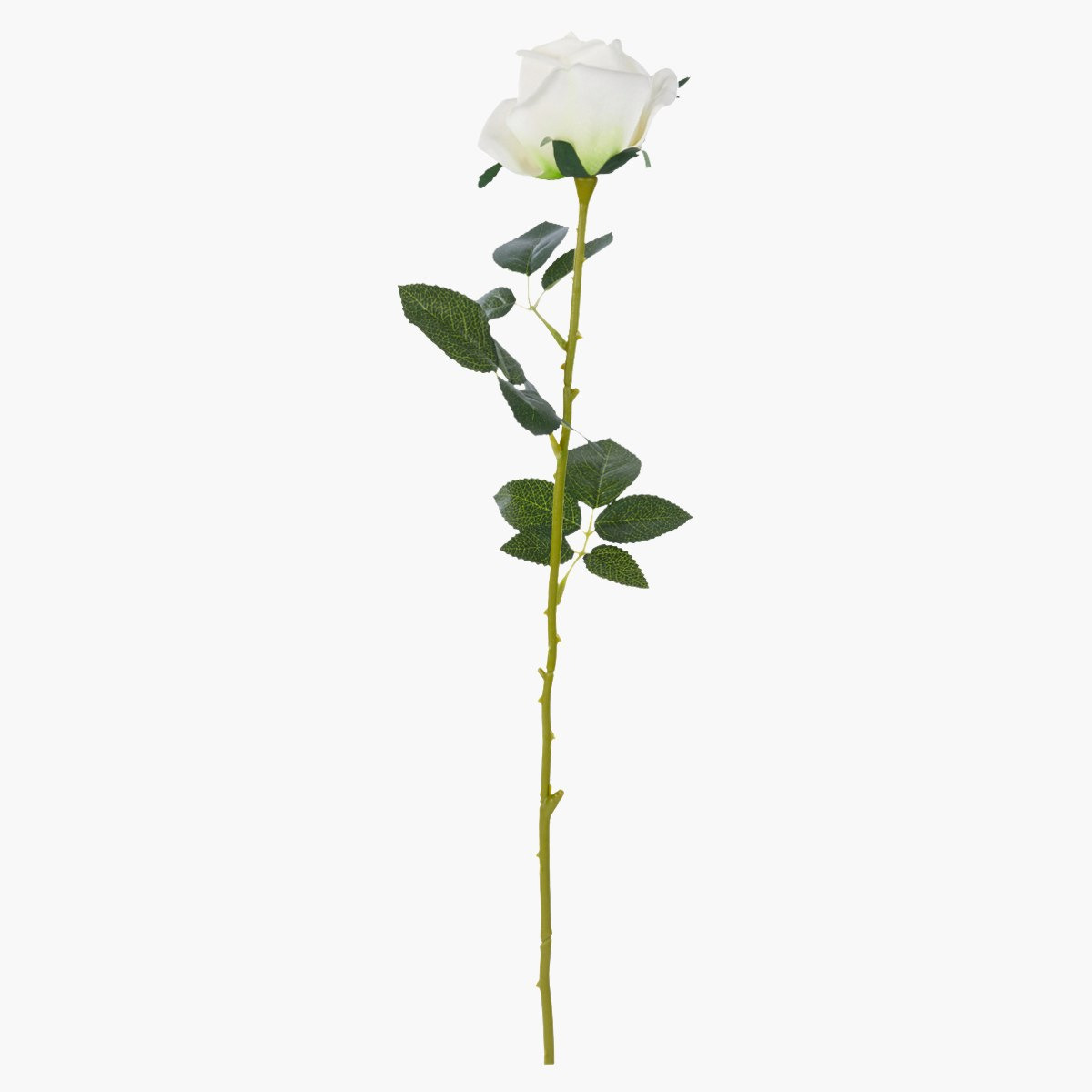 غصن أزهار مزخرف-hbxdecorandfurnishings-homeaccessories-artificialflowersandplants-image-2