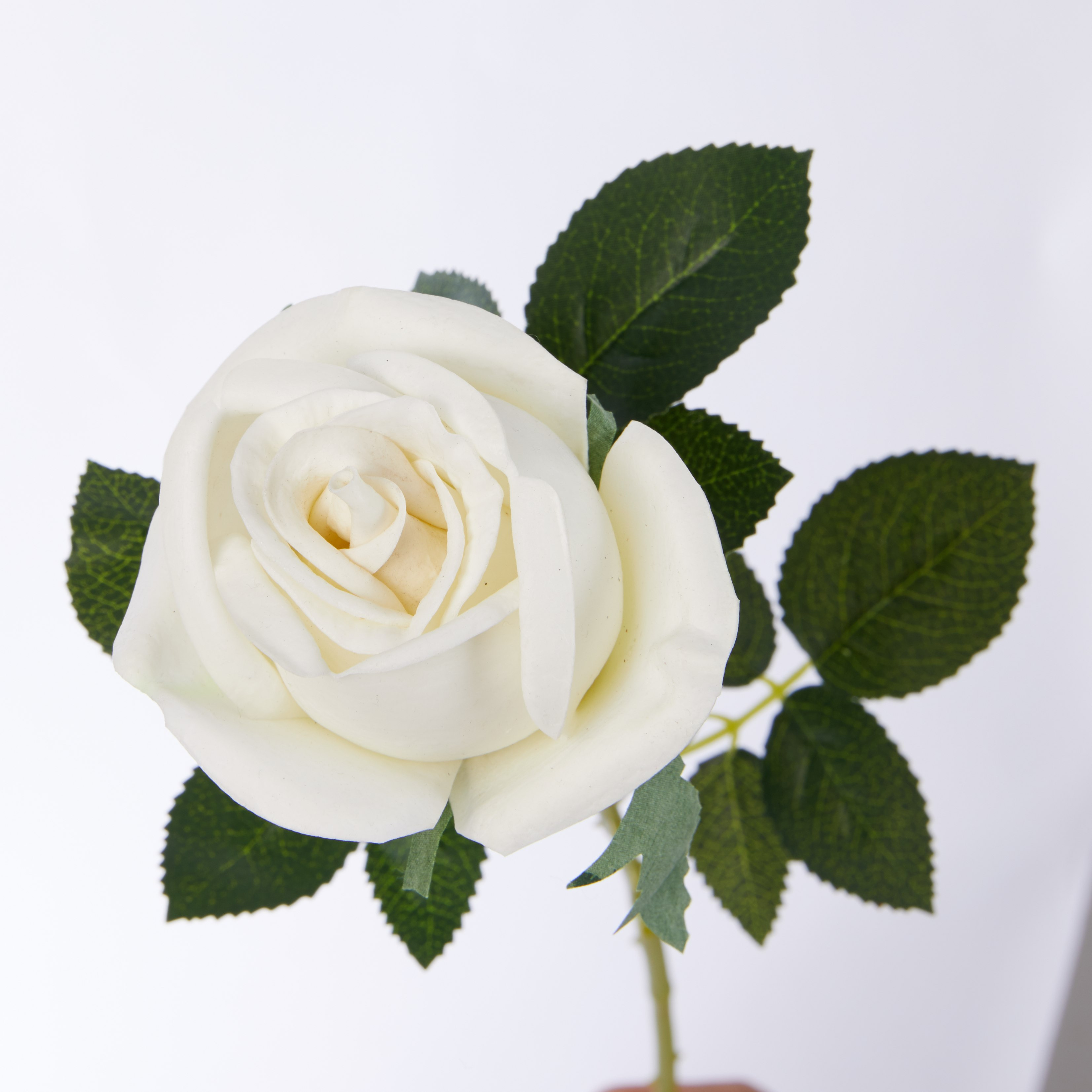 غصن أزهار مزخرف-hbxdecorandfurnishings-homeaccessories-artificialflowersandplants-image-3