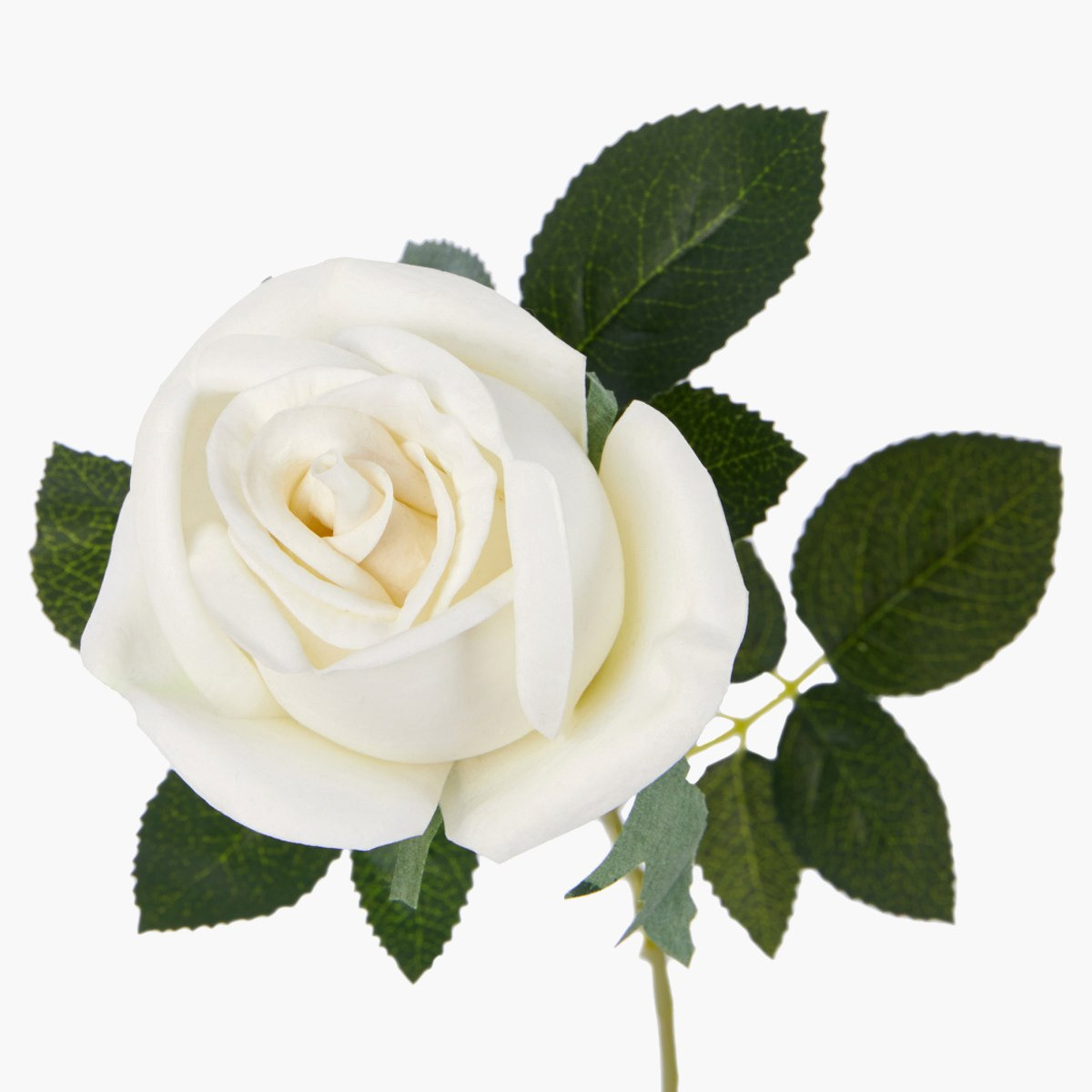 غصن أزهار مزخرف-hbxdecorandfurnishings-homeaccessories-artificialflowersandplants-image-4