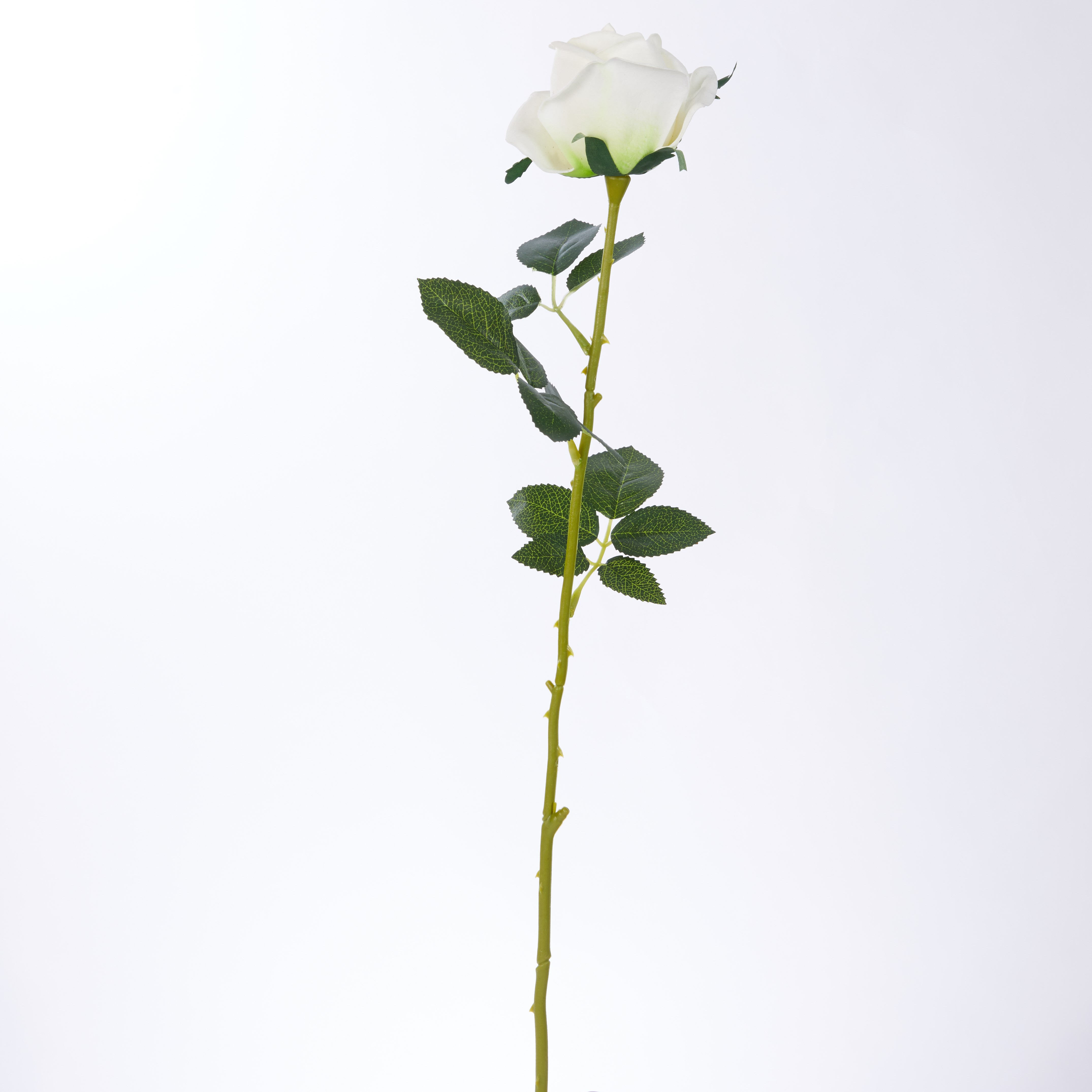 غصن أزهار مزخرف-hbxdecorandfurnishings-homeaccessories-artificialflowersandplants-image-5