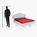 Victoria Fabric Bed - 180x200 cm-King-thumbnailMobile-6