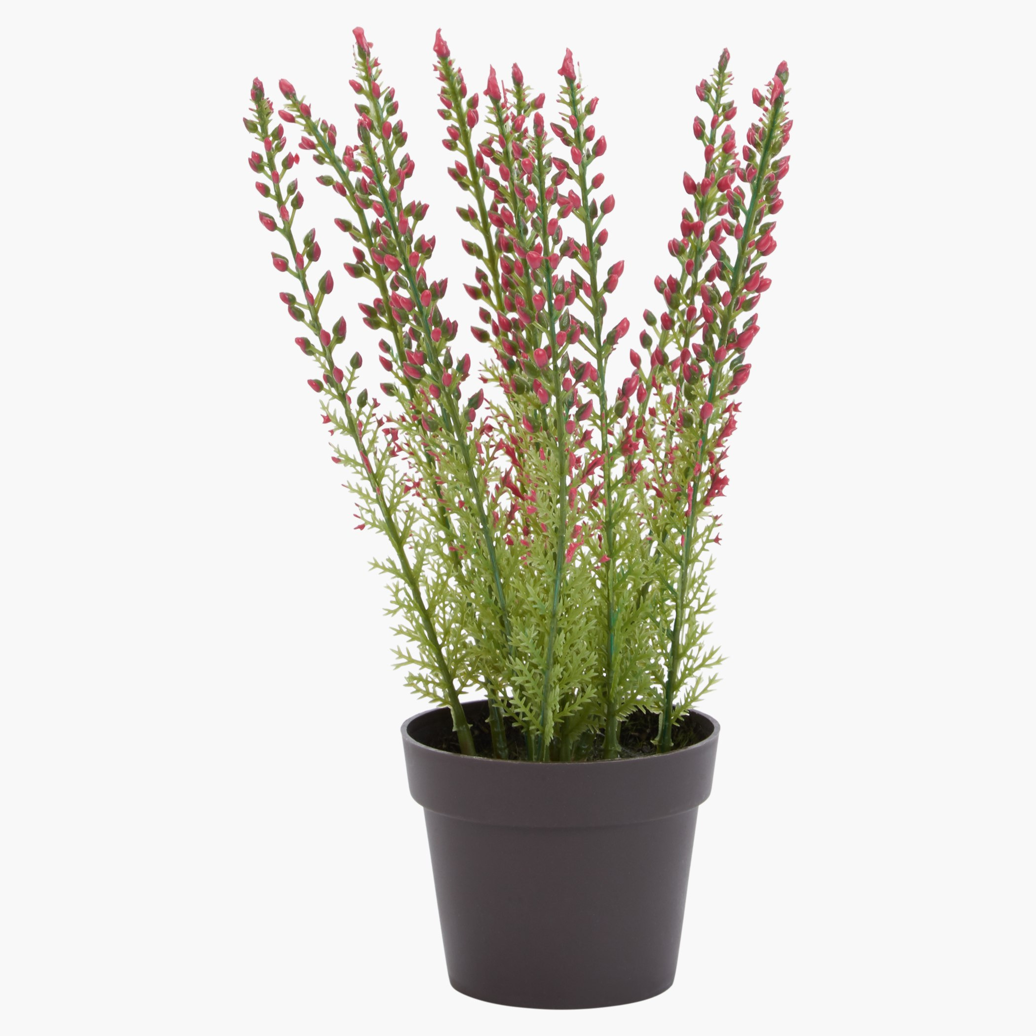 مزهرية بنباتات زينة دينا-hbxdecorandfurnishings-homeaccessories-artificialflowersandplants-image-1