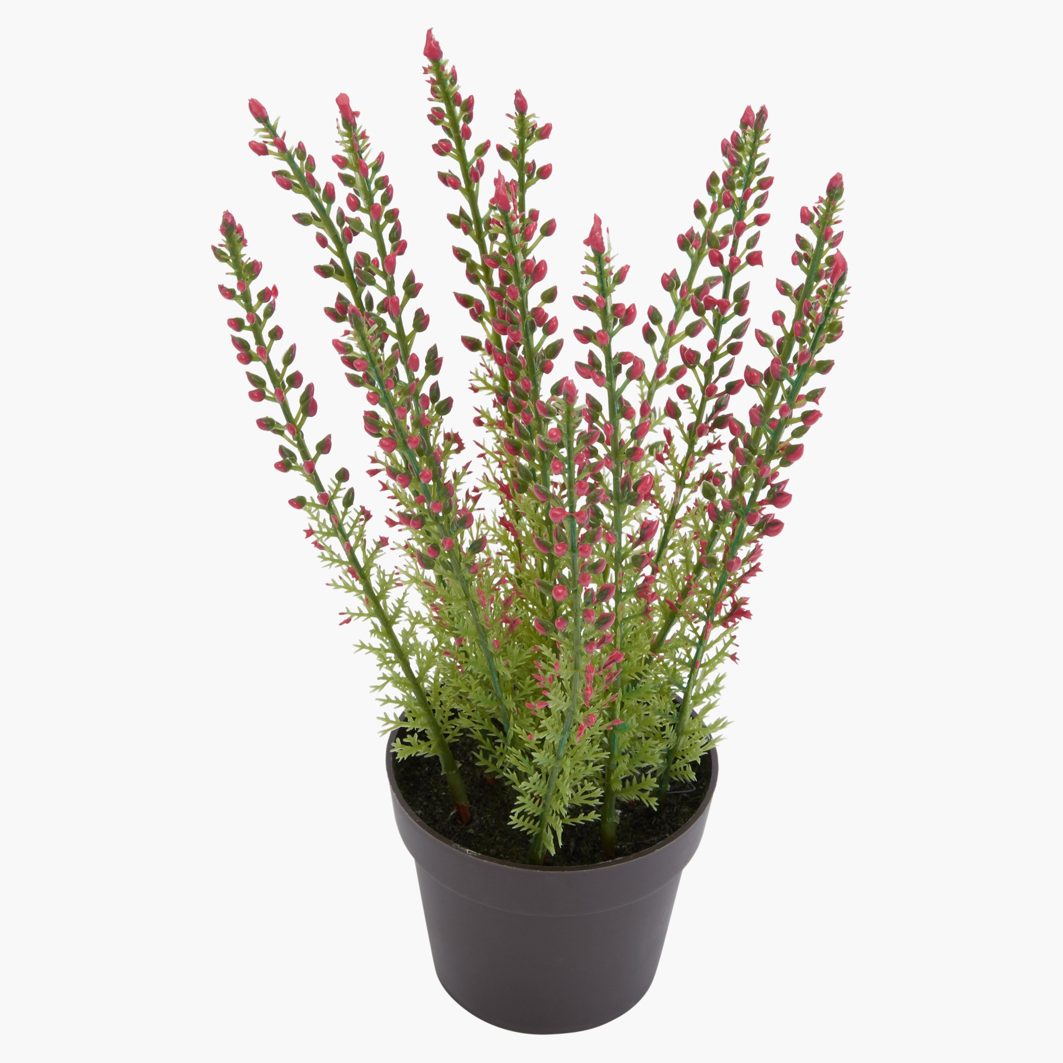 مزهرية بنباتات زينة دينا-hbxdecorandfurnishings-homeaccessories-artificialflowersandplants-image-2