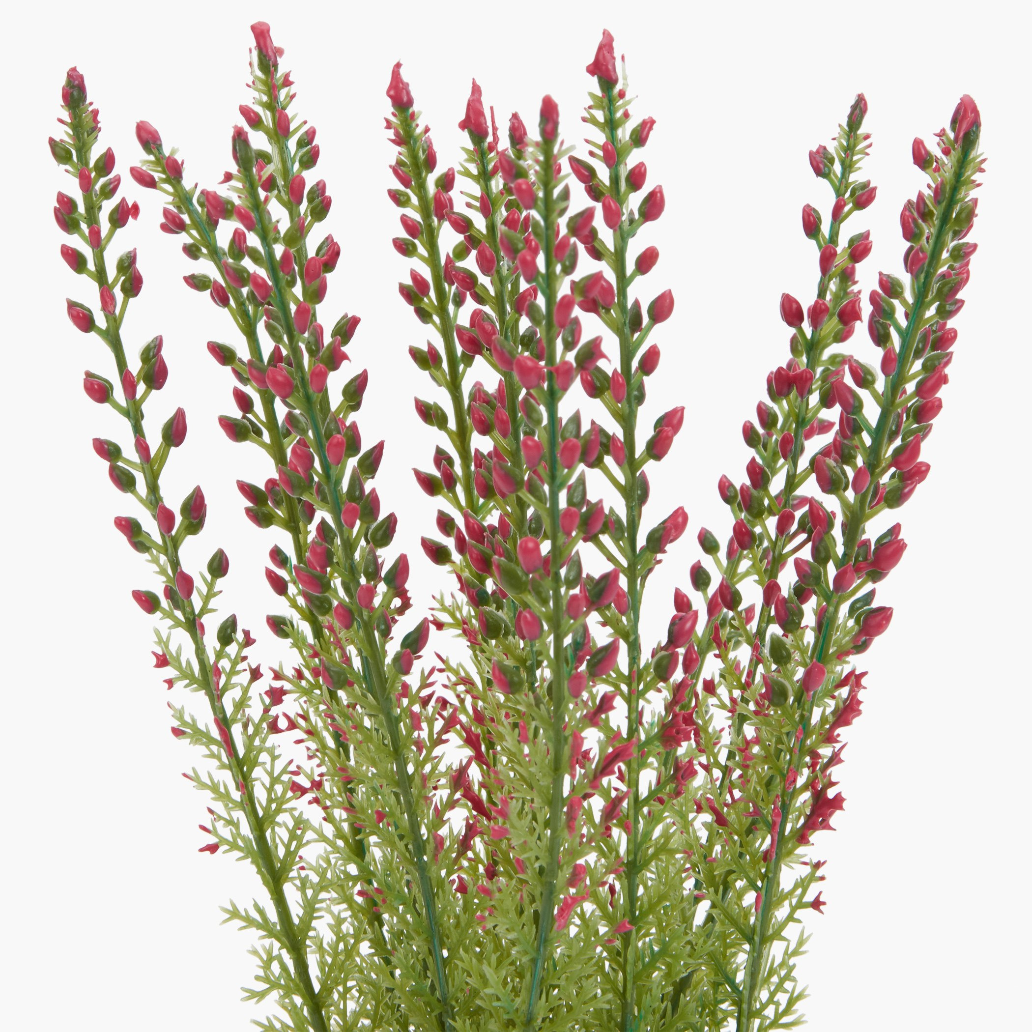 مزهرية بنباتات زينة دينا-hbxdecorandfurnishings-homeaccessories-artificialflowersandplants-image-3