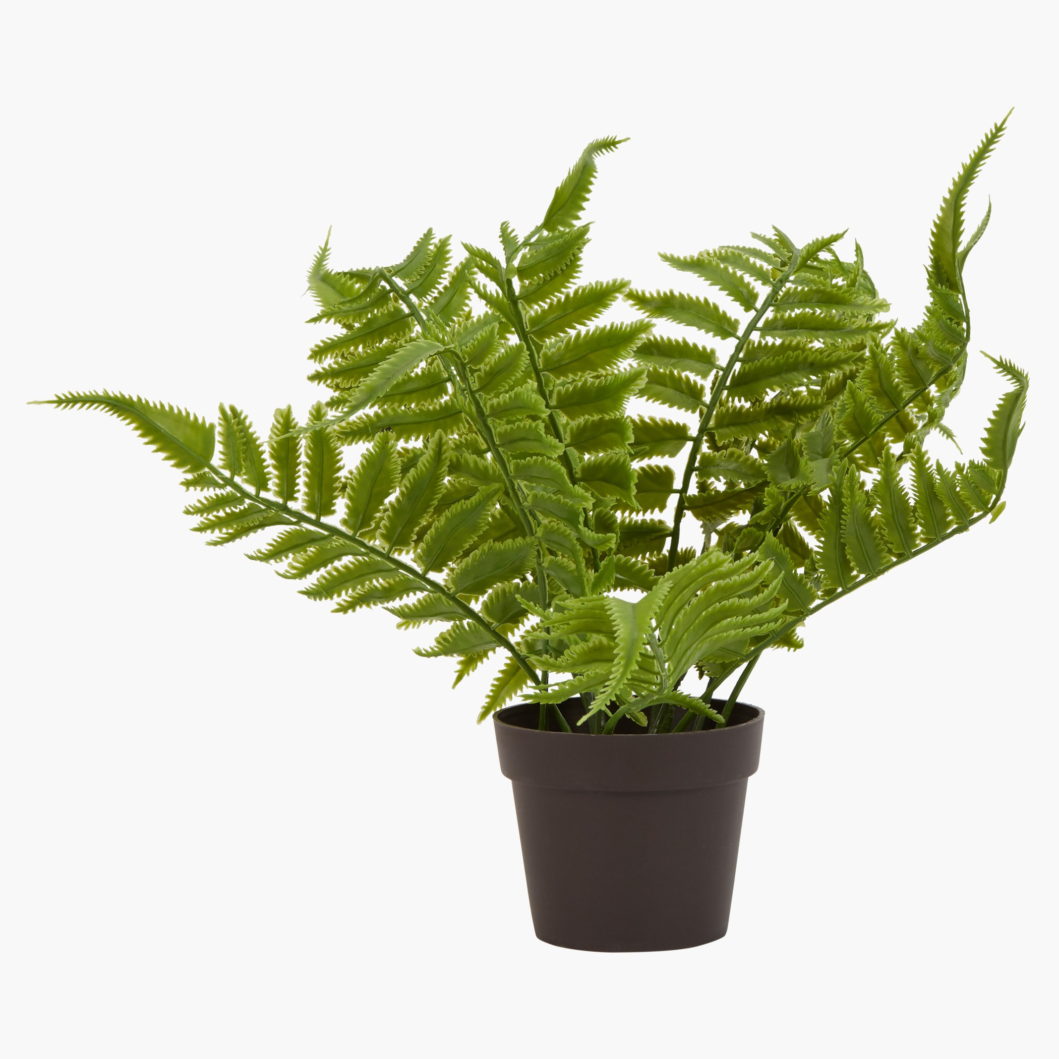 إناء زرع إيبوني-hbxdecorandfurnishings-homeaccessories-artificialflowersandplants-image-1