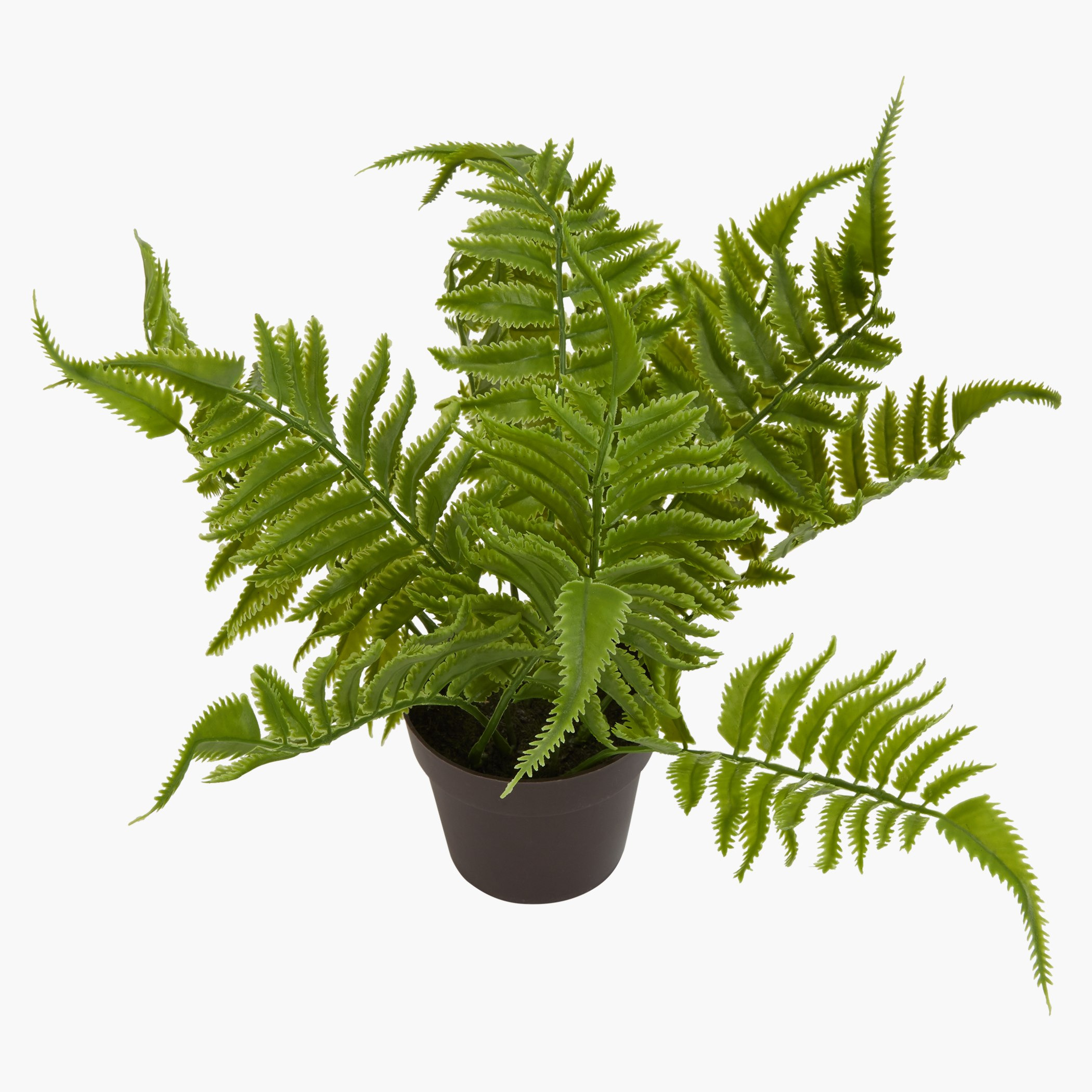 إناء زرع إيبوني-hbxdecorandfurnishings-homeaccessories-artificialflowersandplants-image-2