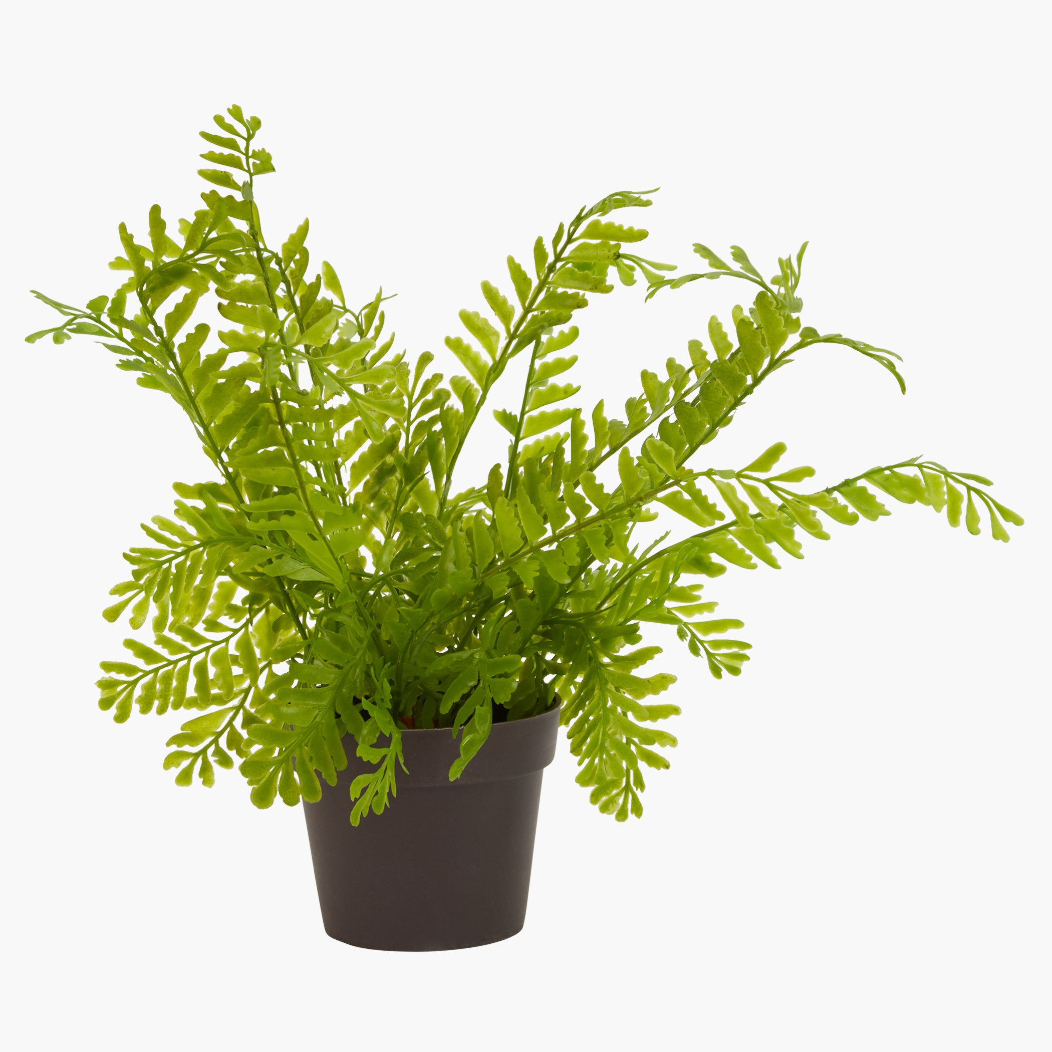 إناء زرع فران-hbxdecorandfurnishings-homeaccessories-artificialflowersandplants-image-1