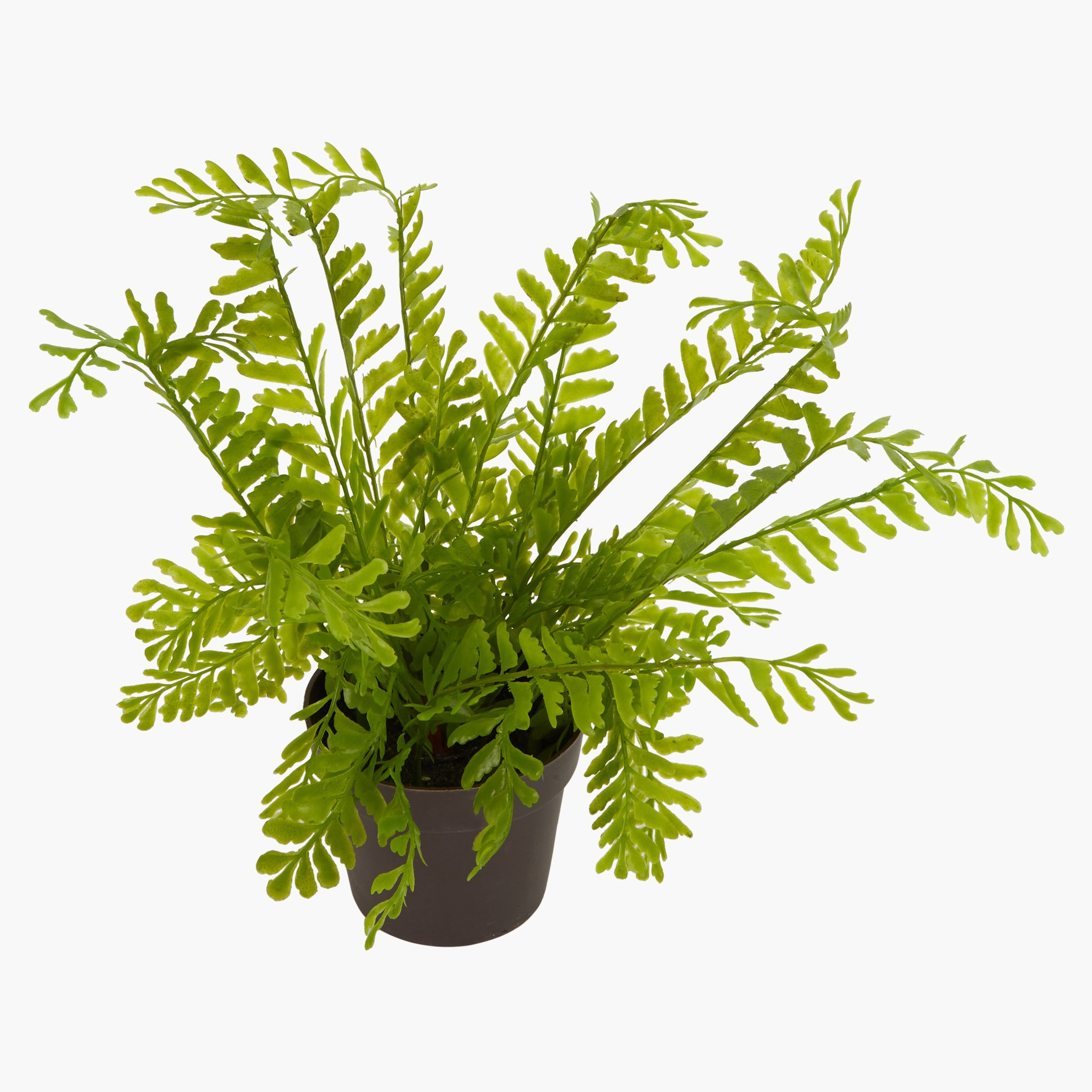إناء زرع فران-hbxdecorandfurnishings-homeaccessories-artificialflowersandplants-image-2