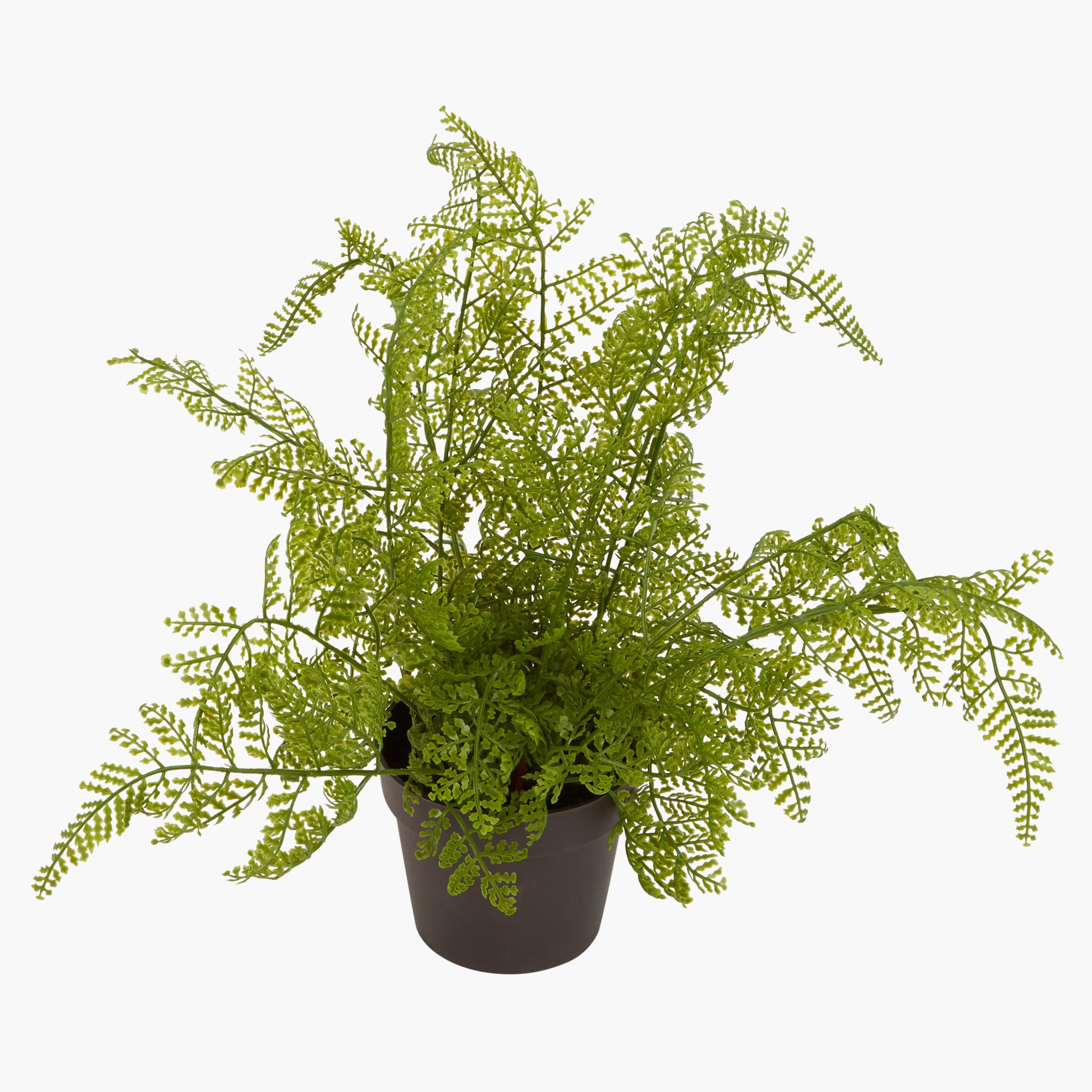 إناء زرع إفي-hbxdecorandfurnishings-homeaccessories-artificialflowersandplants-image-2