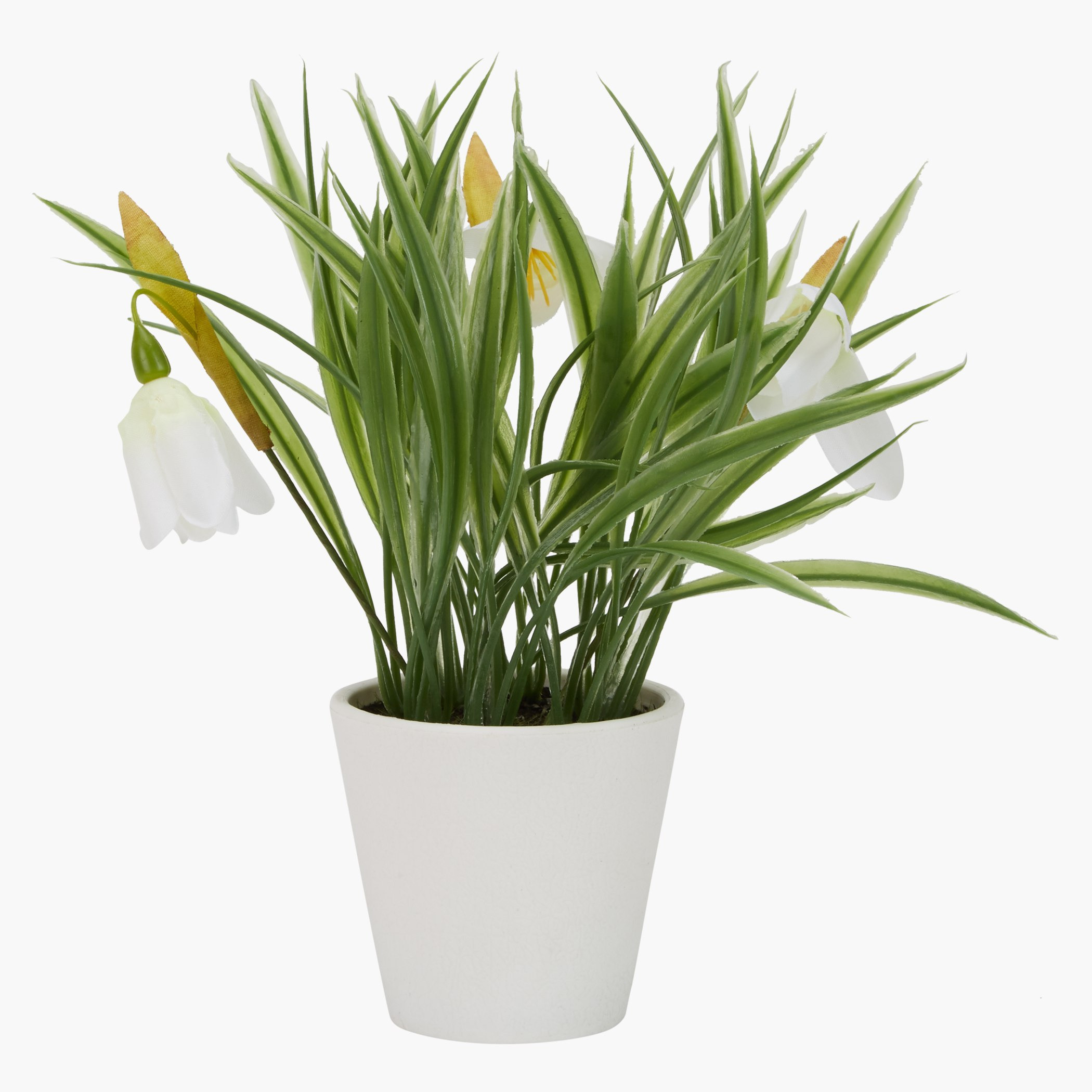إناء عشب توليب-hbxdecorandfurnishings-homeaccessories-artificialflowersandplants-image-1