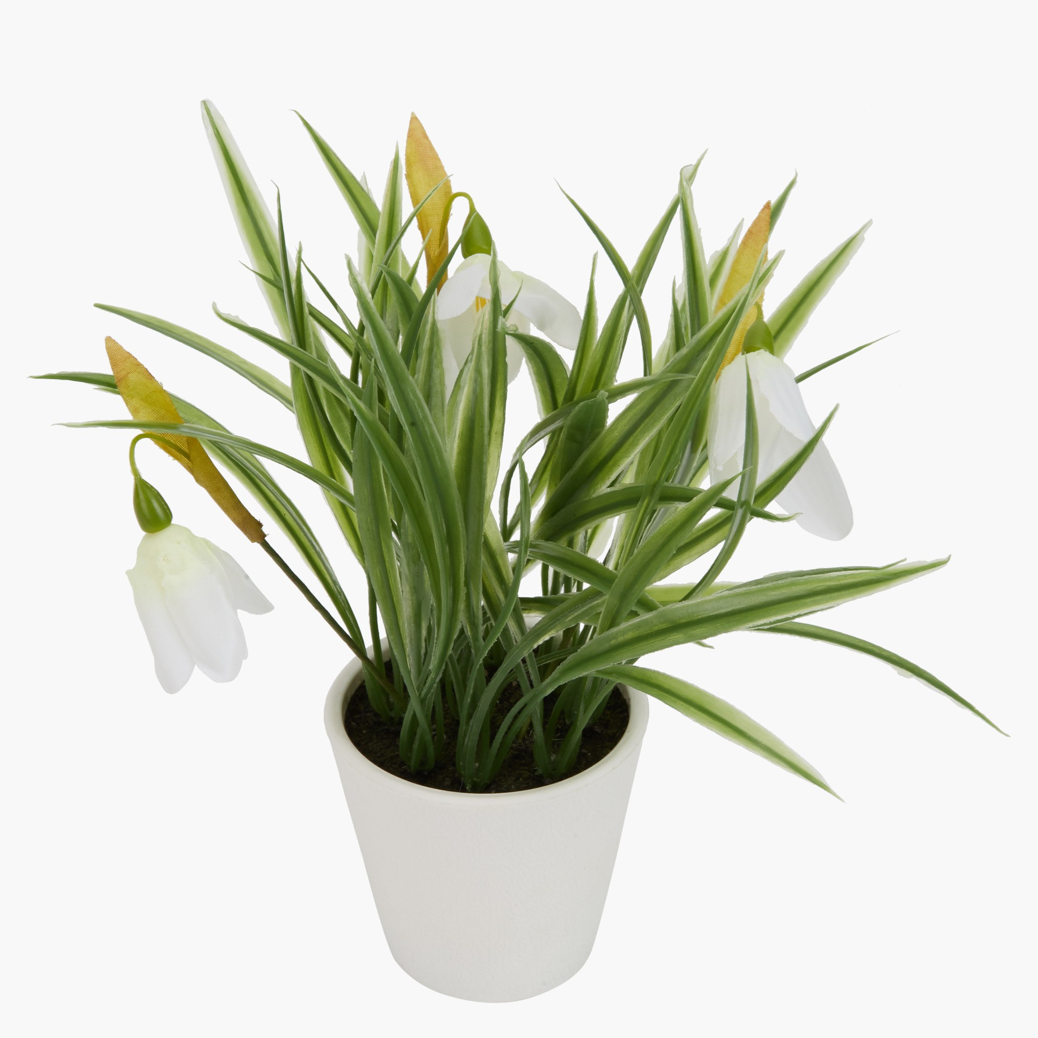 إناء عشب توليب-hbxdecorandfurnishings-homeaccessories-artificialflowersandplants-image-2