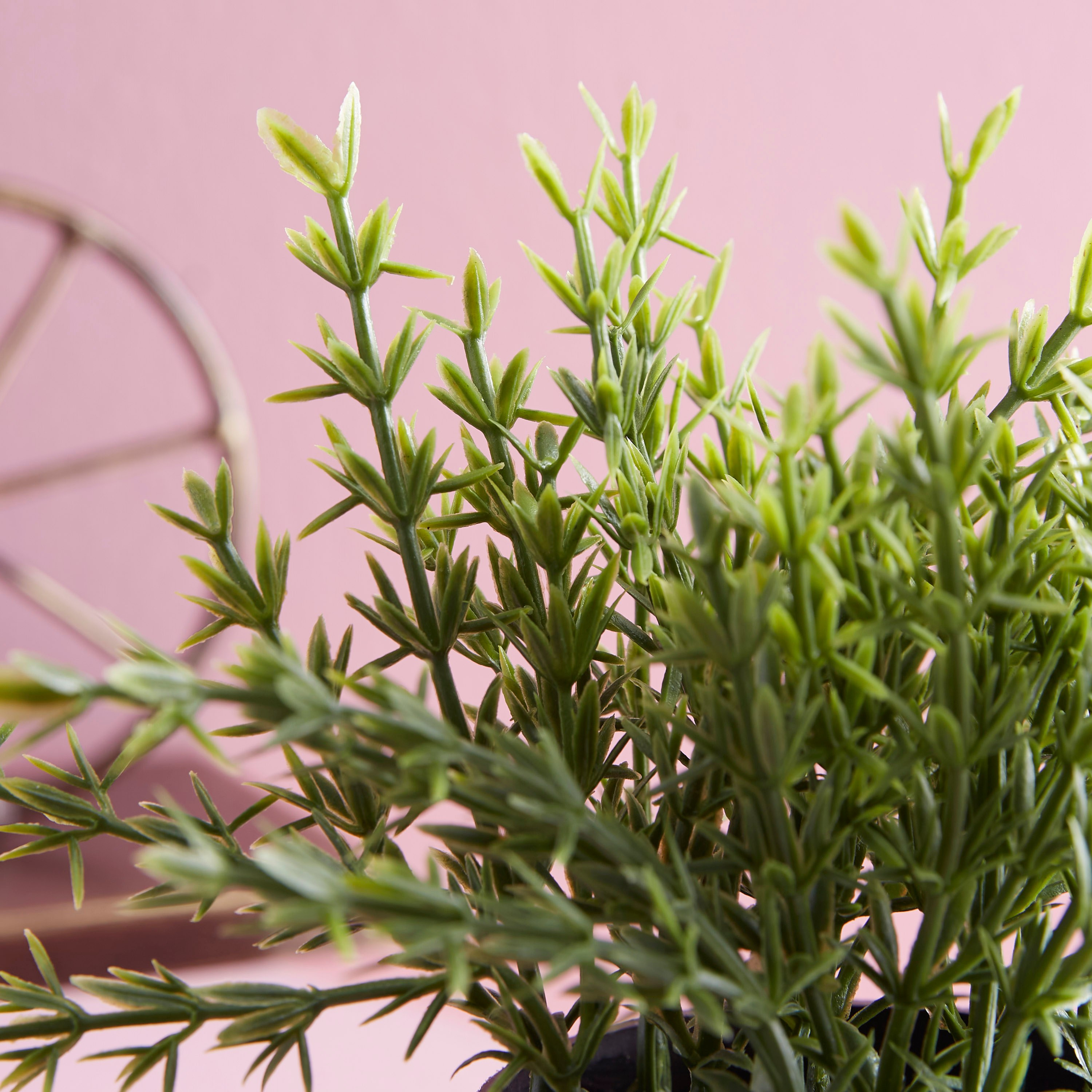 مزهرية بعشب ديكور من تيلدا-hbxdecorandfurnishings-homeaccessories-artificialflowersandplants-image-2