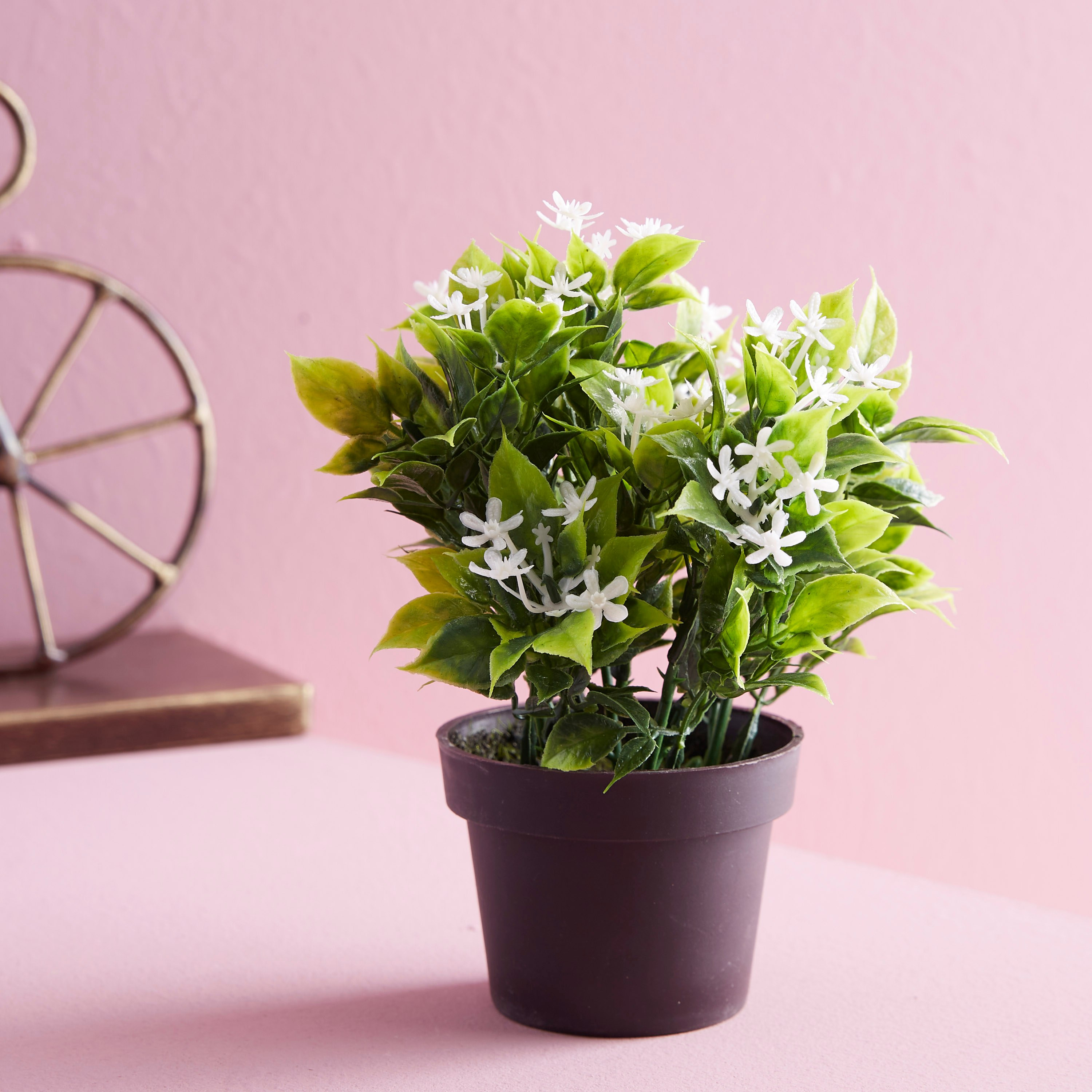 نبات زينة في إصيص من إكسينيا-hbxdecorandfurnishings-homeaccessories-artificialflowersandplants-image-1