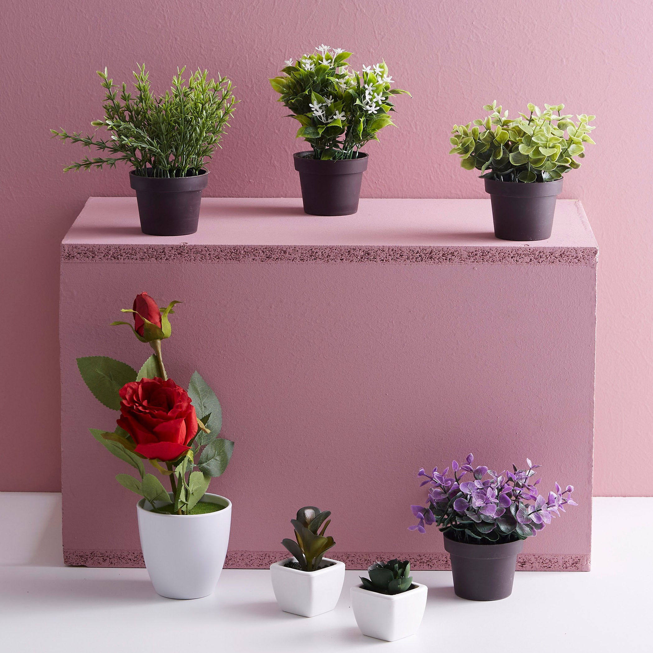 نبات زينة في إصيص من إكسينيا-hbxdecorandfurnishings-homeaccessories-artificialflowersandplants-image-3