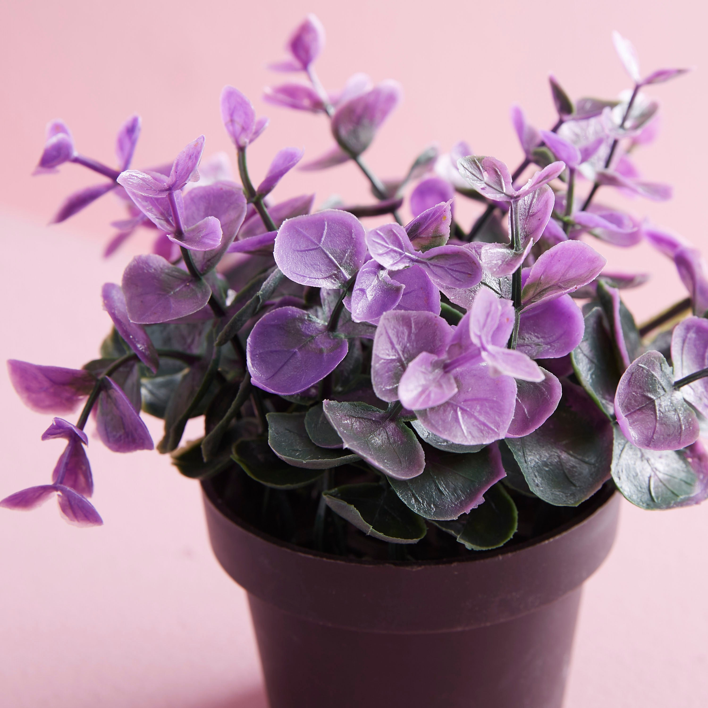 مزهرية بعشب ديكور من ترودي-hbxdecorandfurnishings-homeaccessories-artificialflowersandplants-image-2
