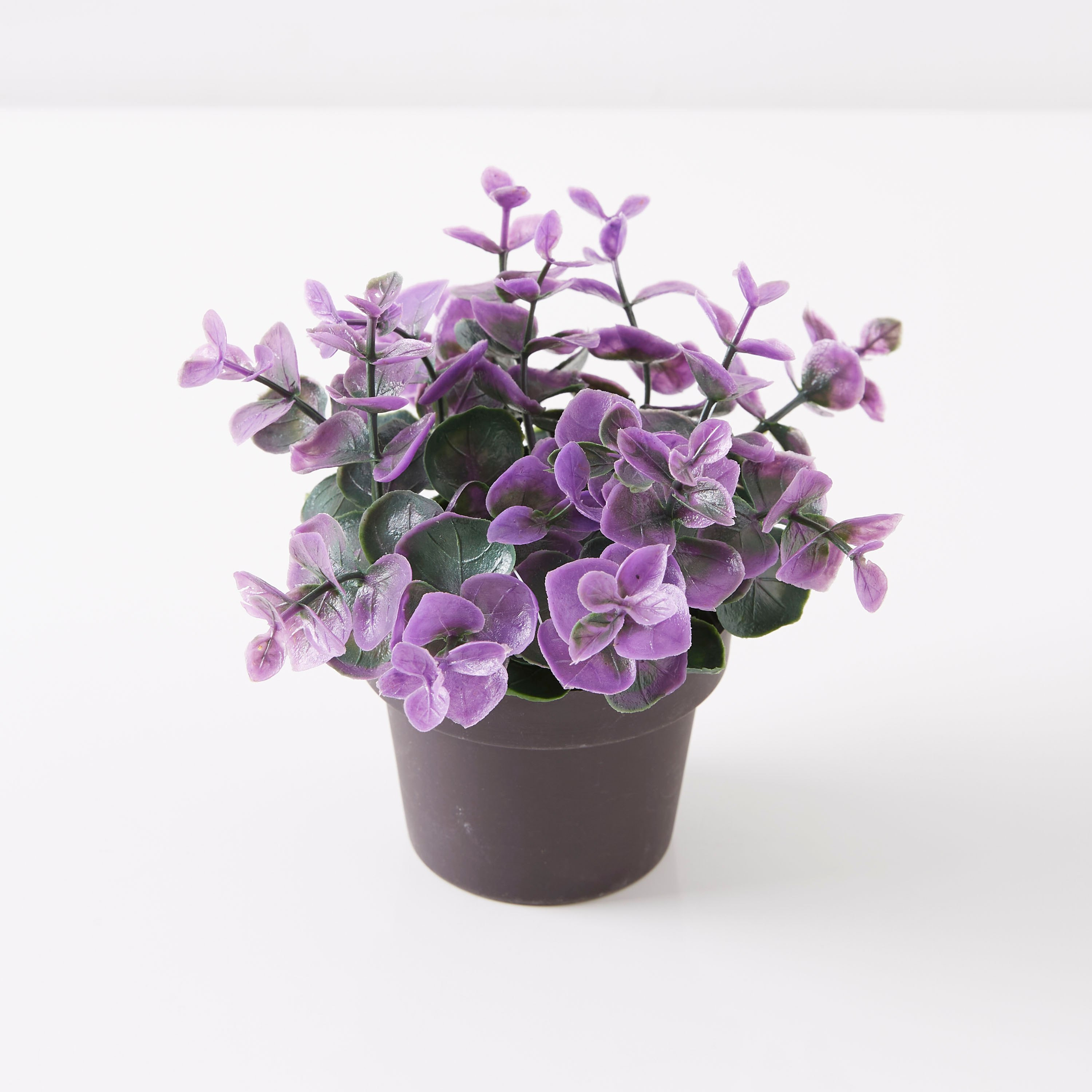 مزهرية بعشب ديكور من ترودي-hbxdecorandfurnishings-homeaccessories-artificialflowersandplants-image-4
