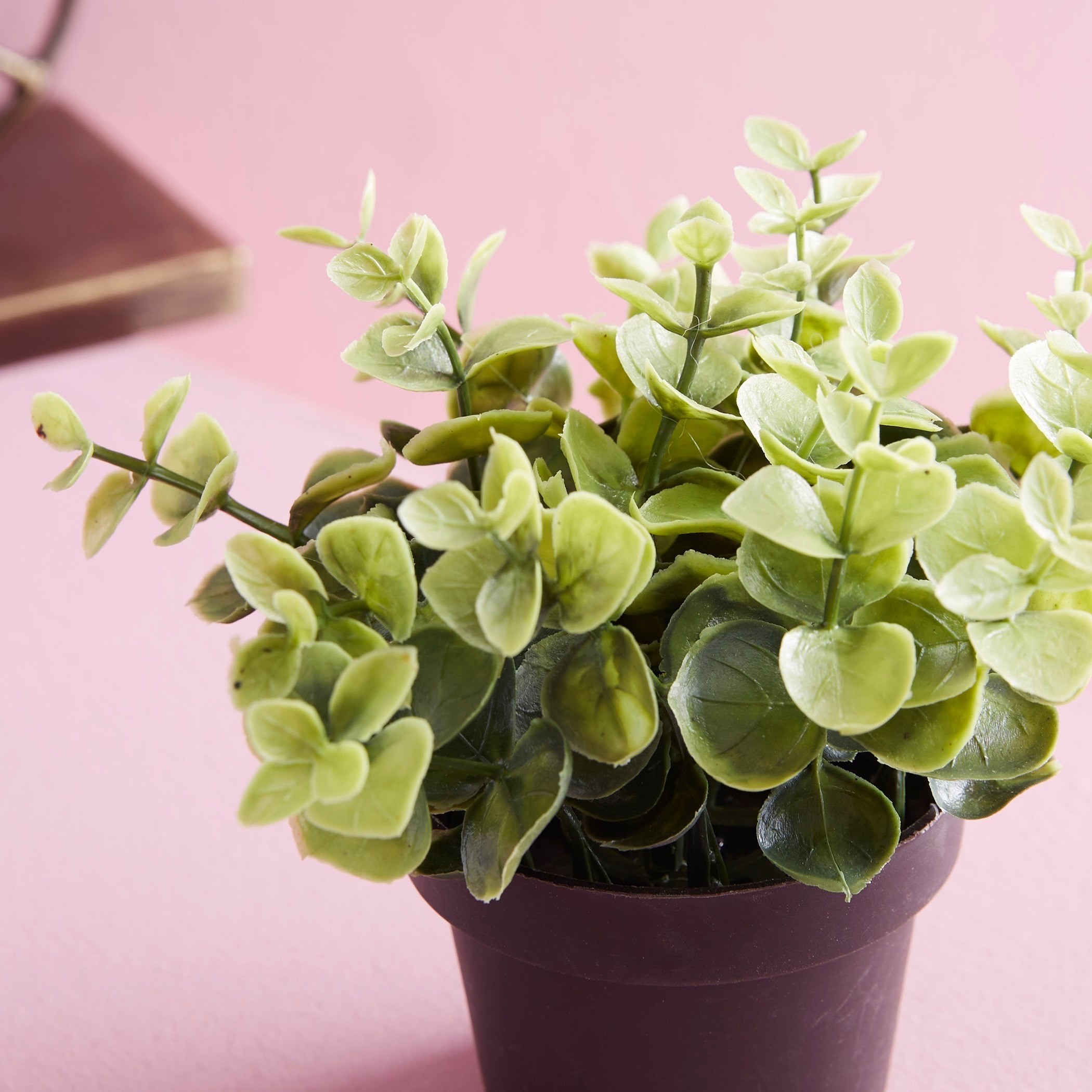 نبات زينة في إصيص من ترودي-hbxdecorandfurnishings-homeaccessories-artificialflowersandplants-image-2