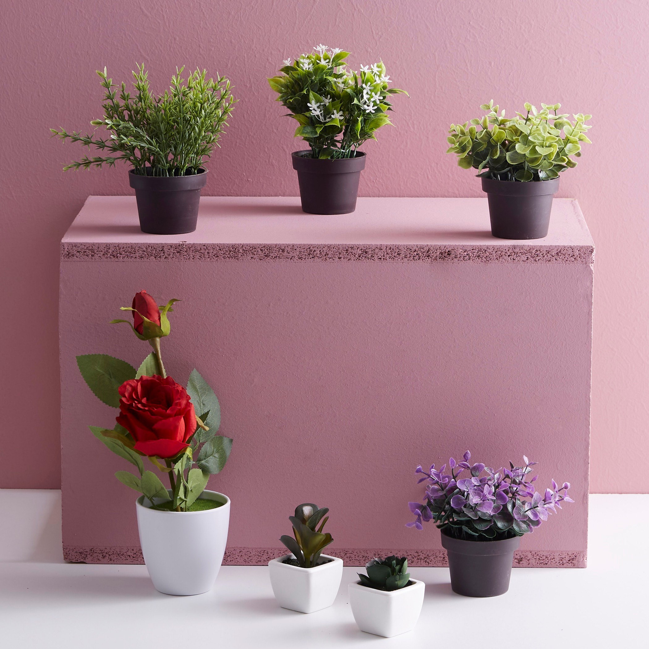 نبات زينة في إصيص من ترودي-hbxdecorandfurnishings-homeaccessories-artificialflowersandplants-image-3