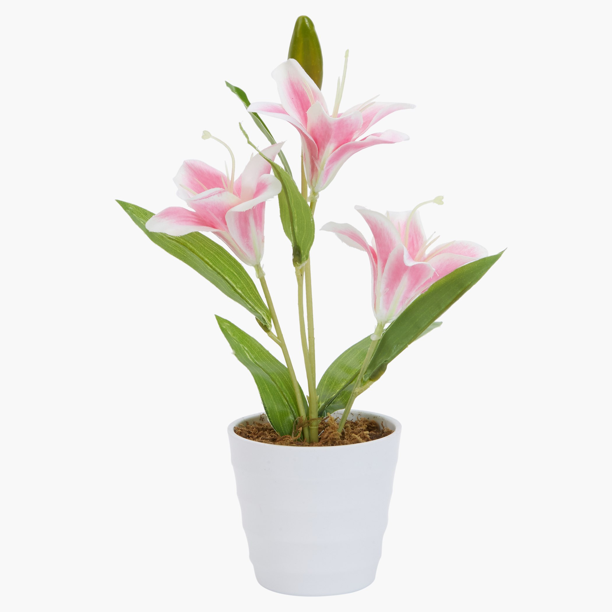 إناء ليلي كاريسا-hbxdecorandfurnishings-homeaccessories-artificialflowersandplants-image-1