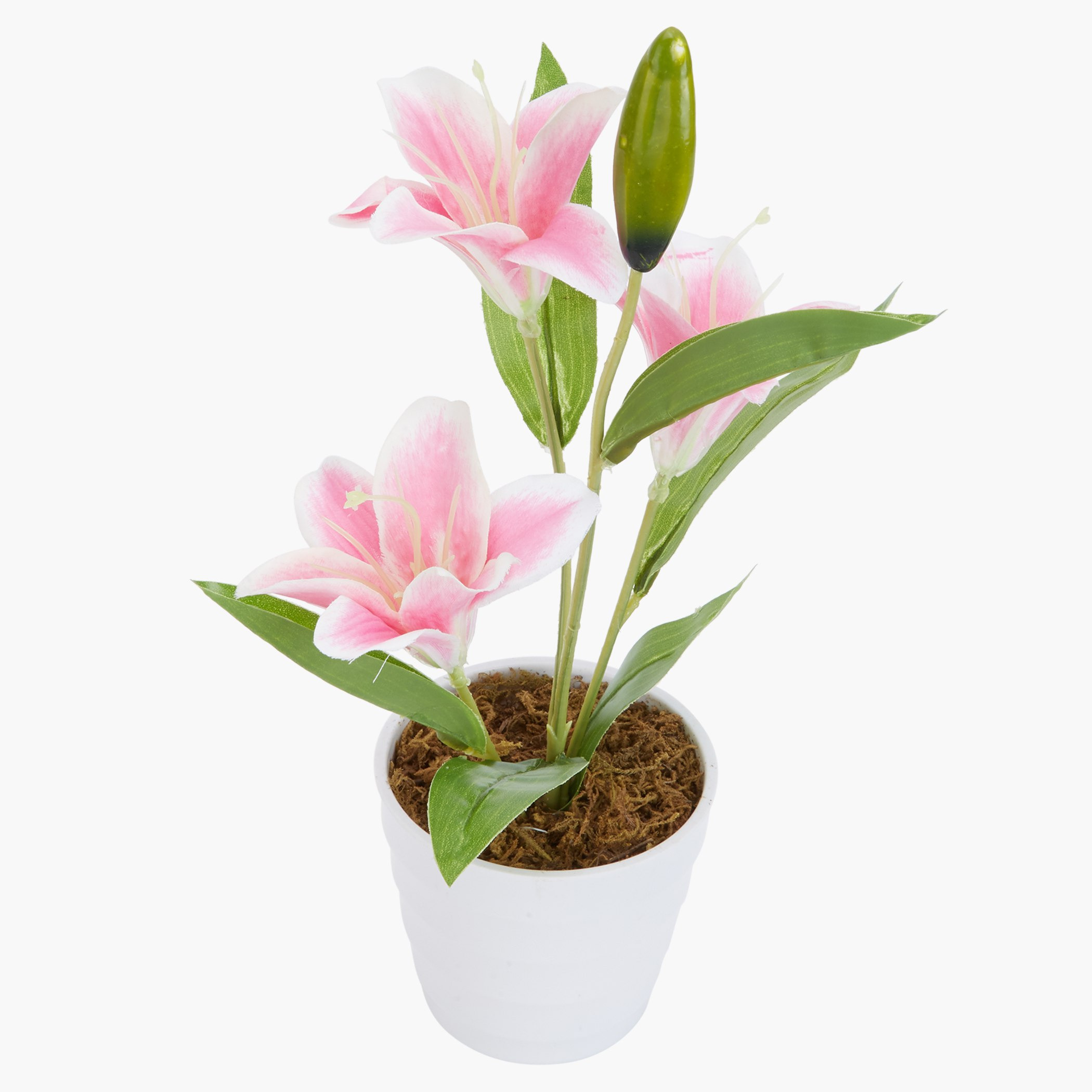 إناء ليلي كاريسا-hbxdecorandfurnishings-homeaccessories-artificialflowersandplants-image-2