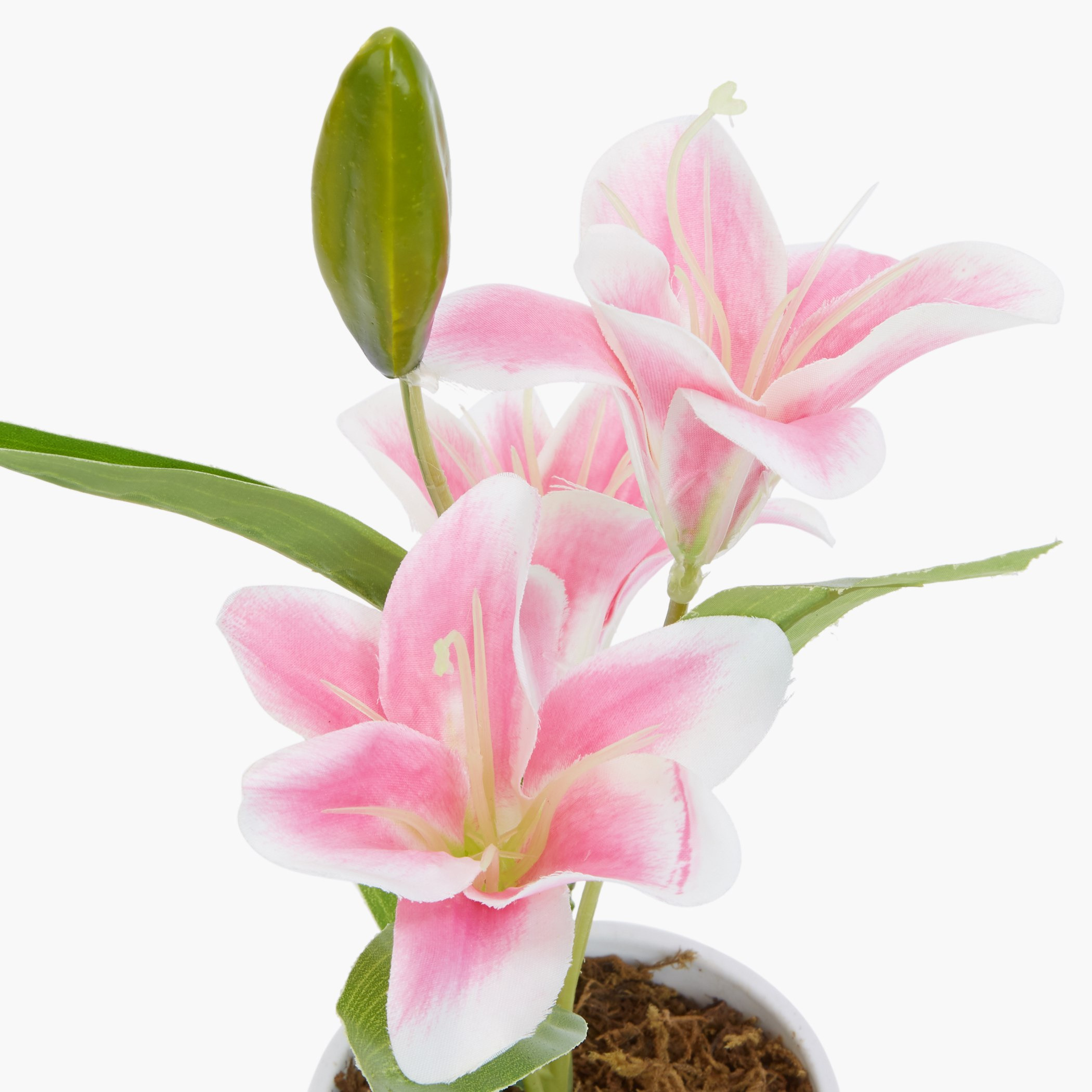 إناء ليلي كاريسا-hbxdecorandfurnishings-homeaccessories-artificialflowersandplants-image-3