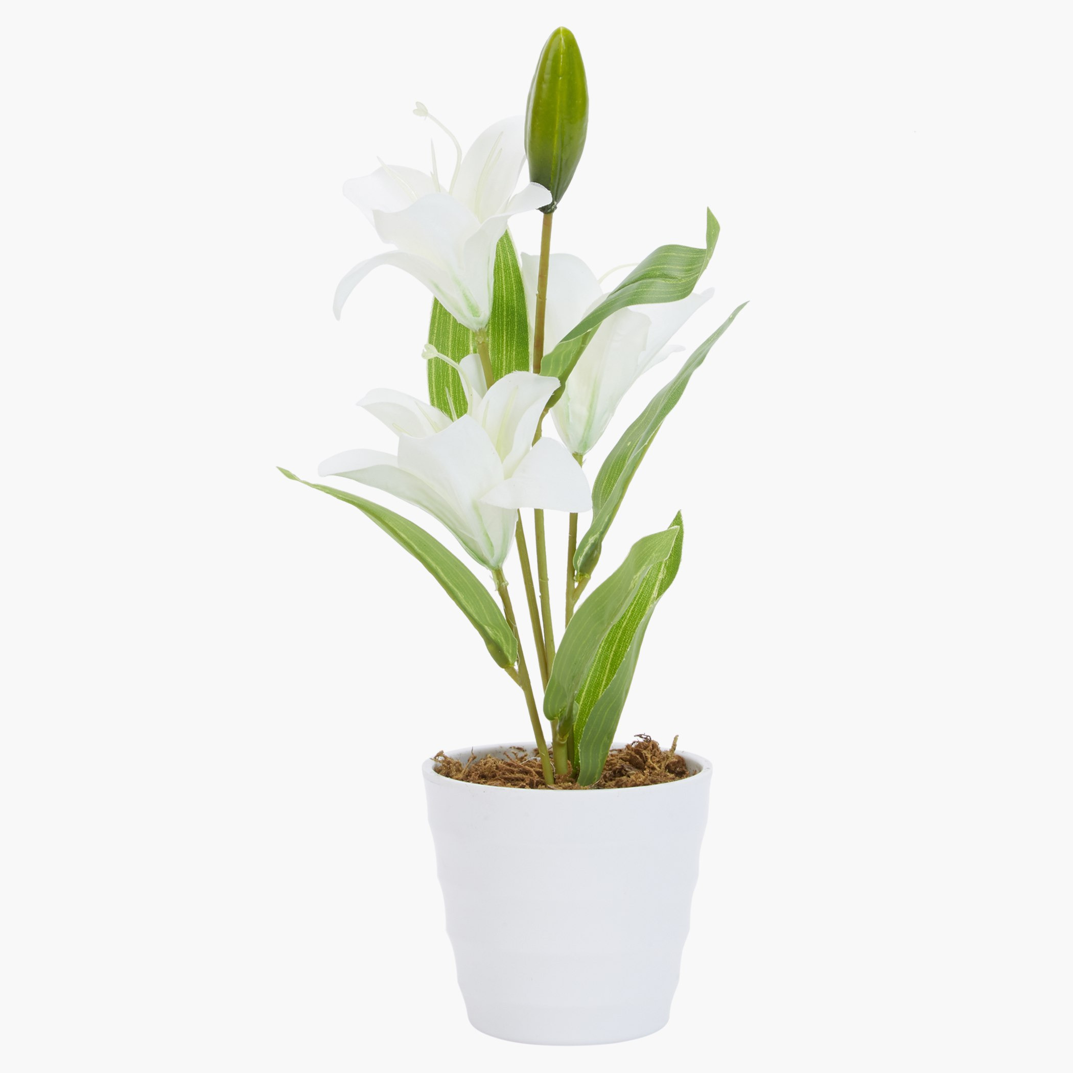 إناء ليلي كاريسا-hbxdecorandfurnishings-homeaccessories-artificialflowersandplants-image-1
